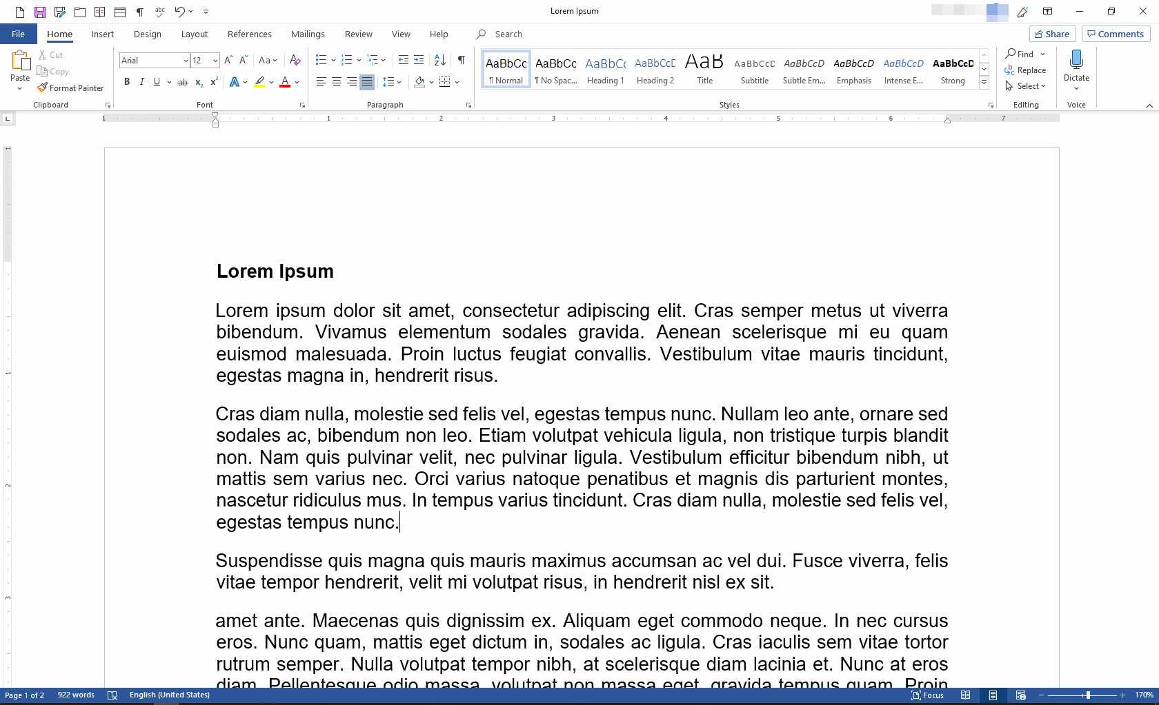 MS Word s otevřeným souborem PDF