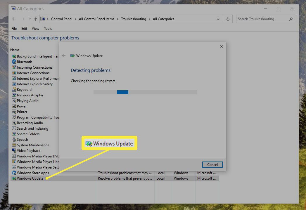 Poradce při potížích se službou Windows Update spuštěný v systému Windows 10.