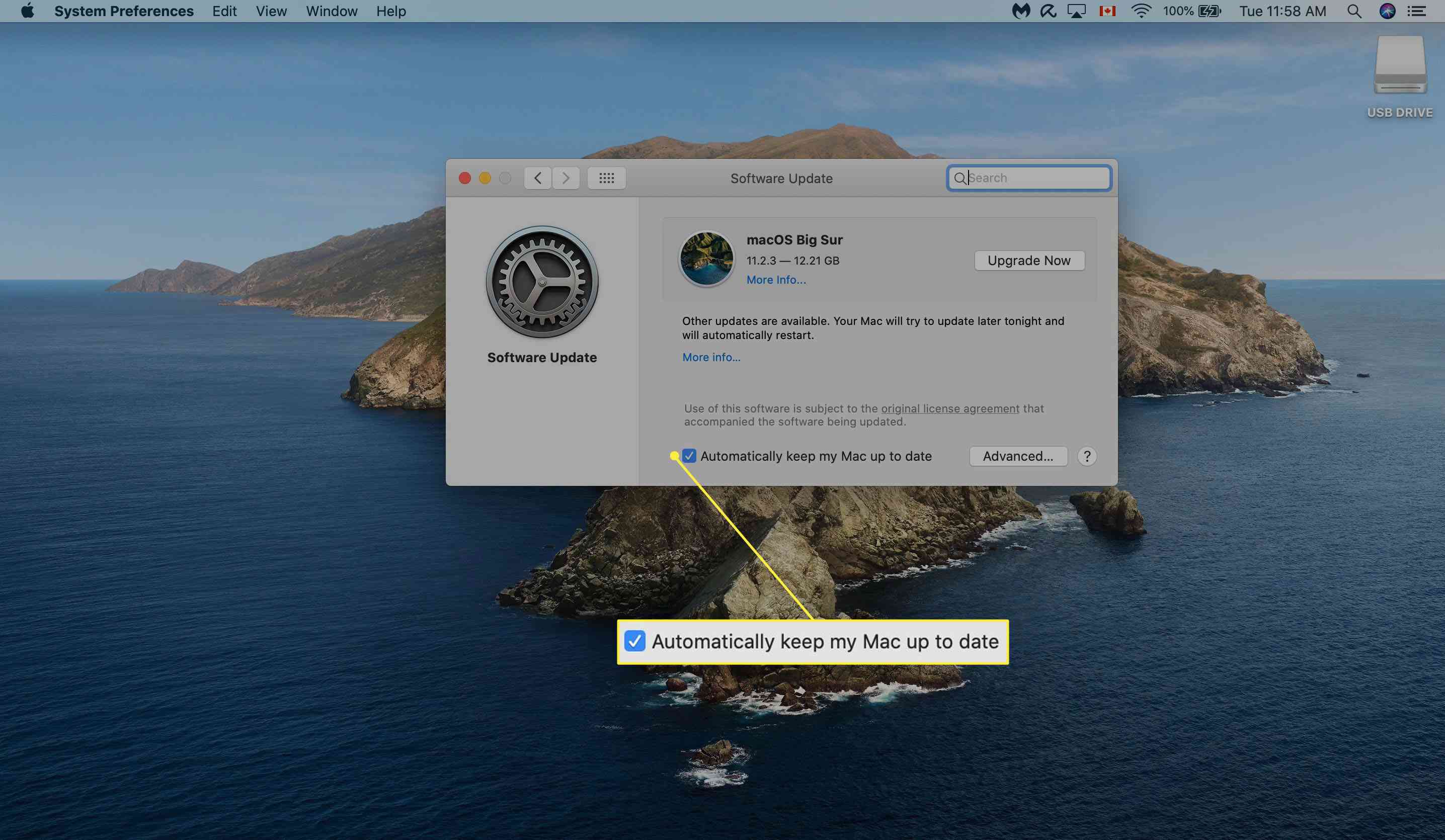 Zaškrtnutí automatických aktualizací v Mac Software Update.