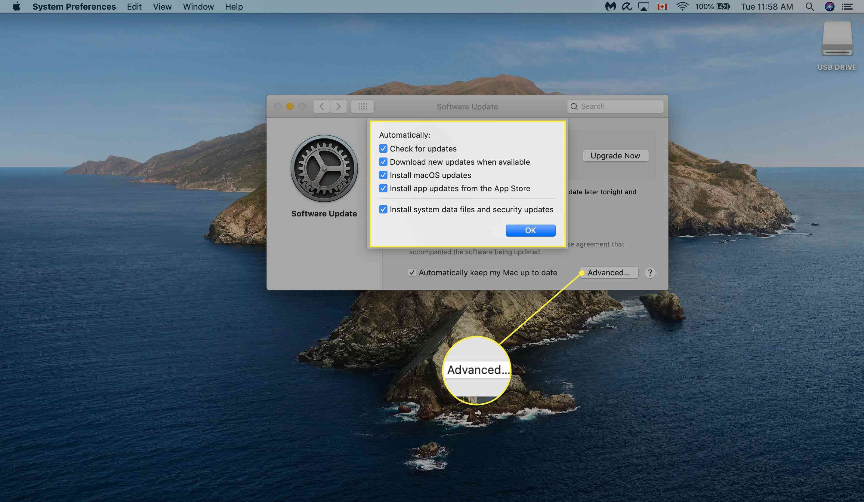 Výběr pokročilých možností v části Aktualizace softwaru pro Mac.