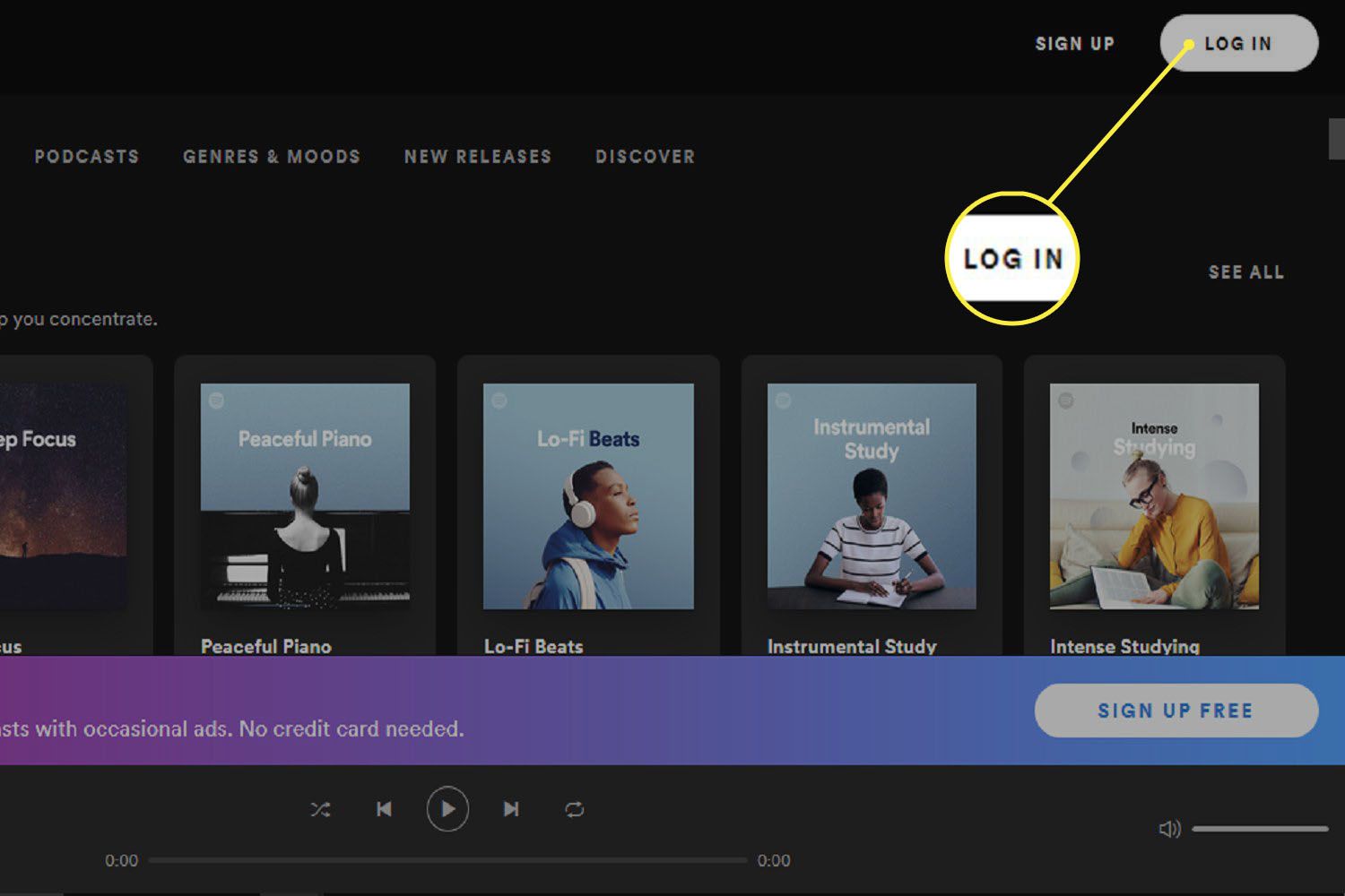 Tlačítko PŘIHLÁŠENÍ pro webový přehrávač Spotify