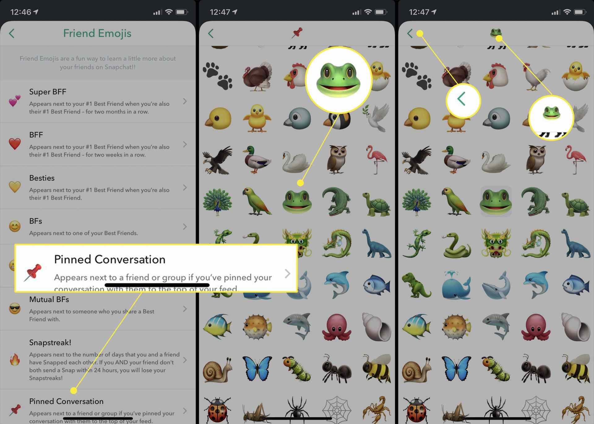 Nastavení Snapchat s „Připnutou konverzací“, emodži žáby a zvýrazněnou šipkou zpět