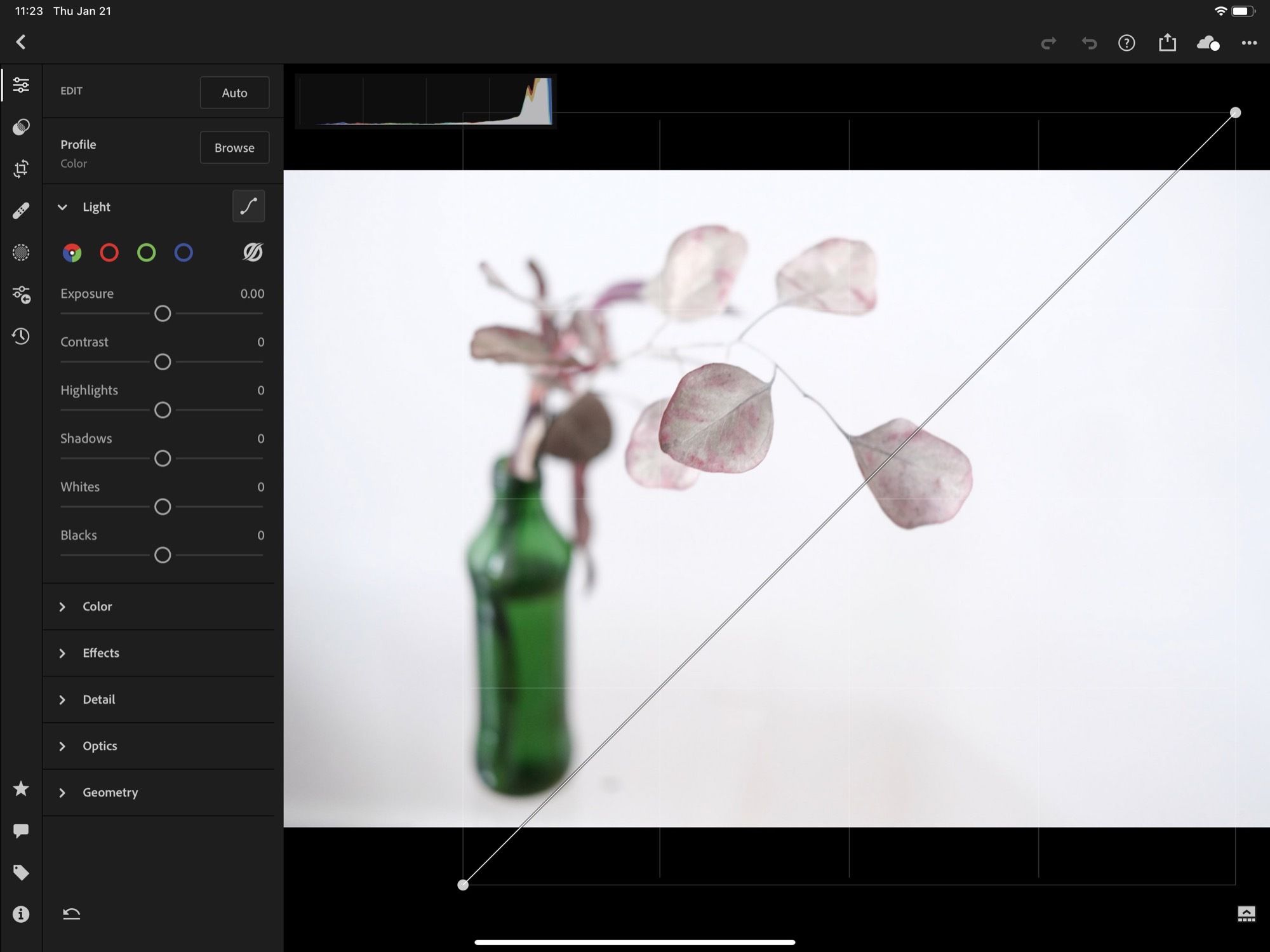 Fotografie Charlieho Sorrela upravovaná nástrojem křivek v aplikaci Adobe Lightroom na iPadu.