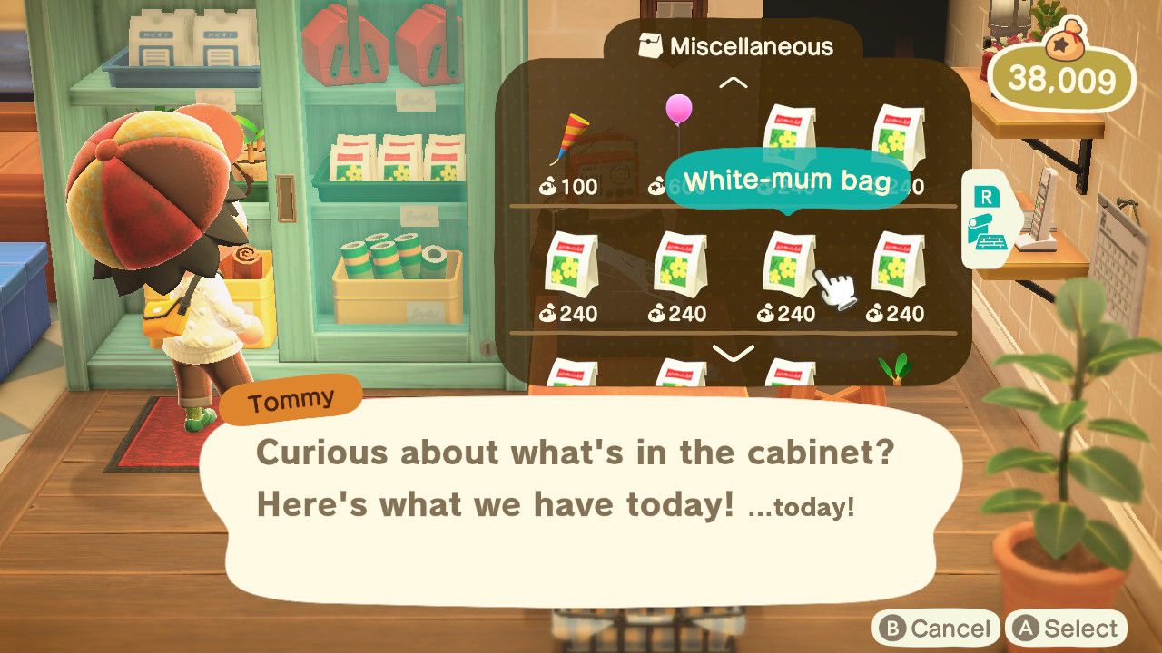 Postava Animal Crossing kupující semeno od Nook's Cranny
