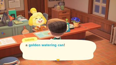 Isabelle mluví o zlaté konvici ve hře Animal Crossing: New Horizons