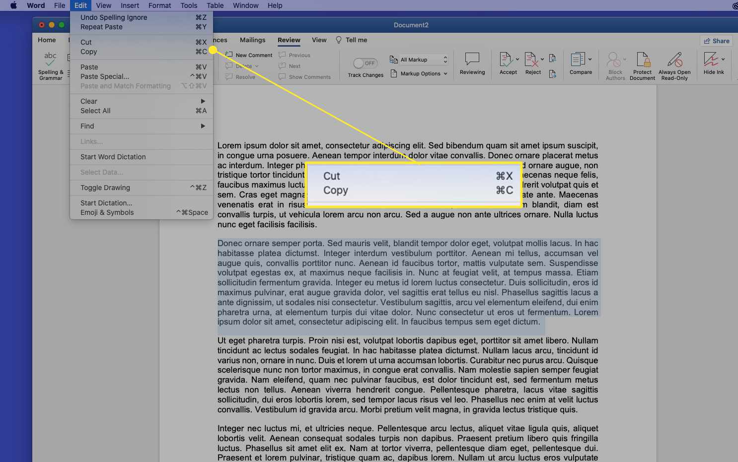 Dokument aplikace Word na počítači Mac se zvýrazněnými příkazy Vyjmout a Kopírovat