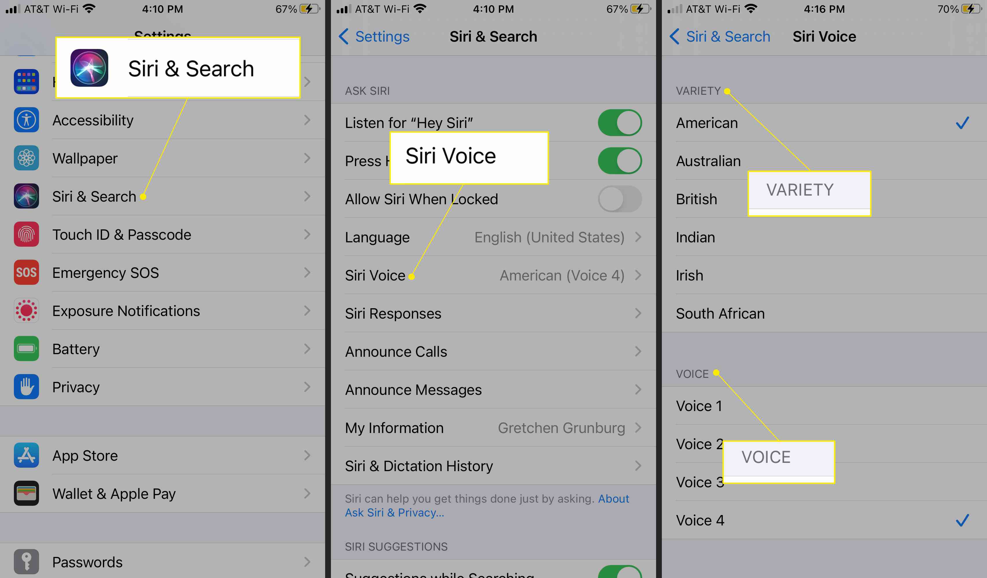 Nastavení iPhone se zvýrazněnými možnostmi Siri & Search, Siri Voice a Variety and Voice
