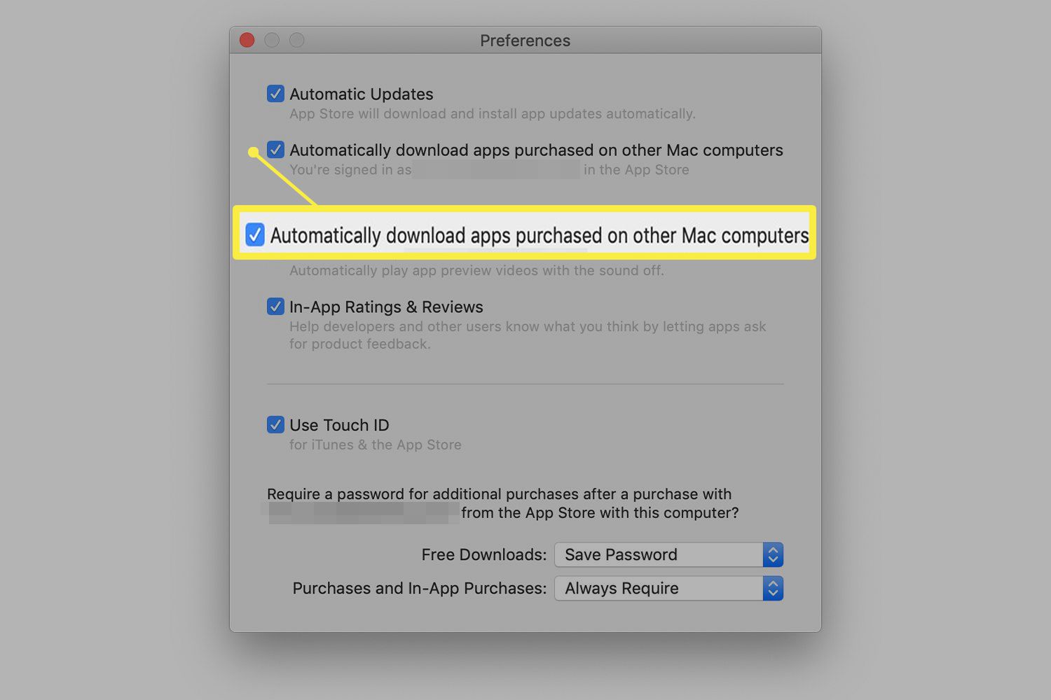 Předvolby Apple Store zobrazující možnosti automatické aktualizace