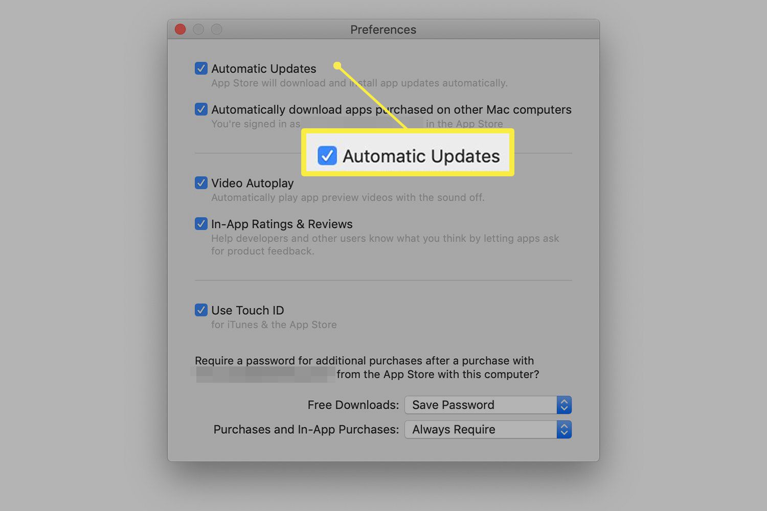 Předvolby Apple Store zobrazující možnosti automatické aktualizace