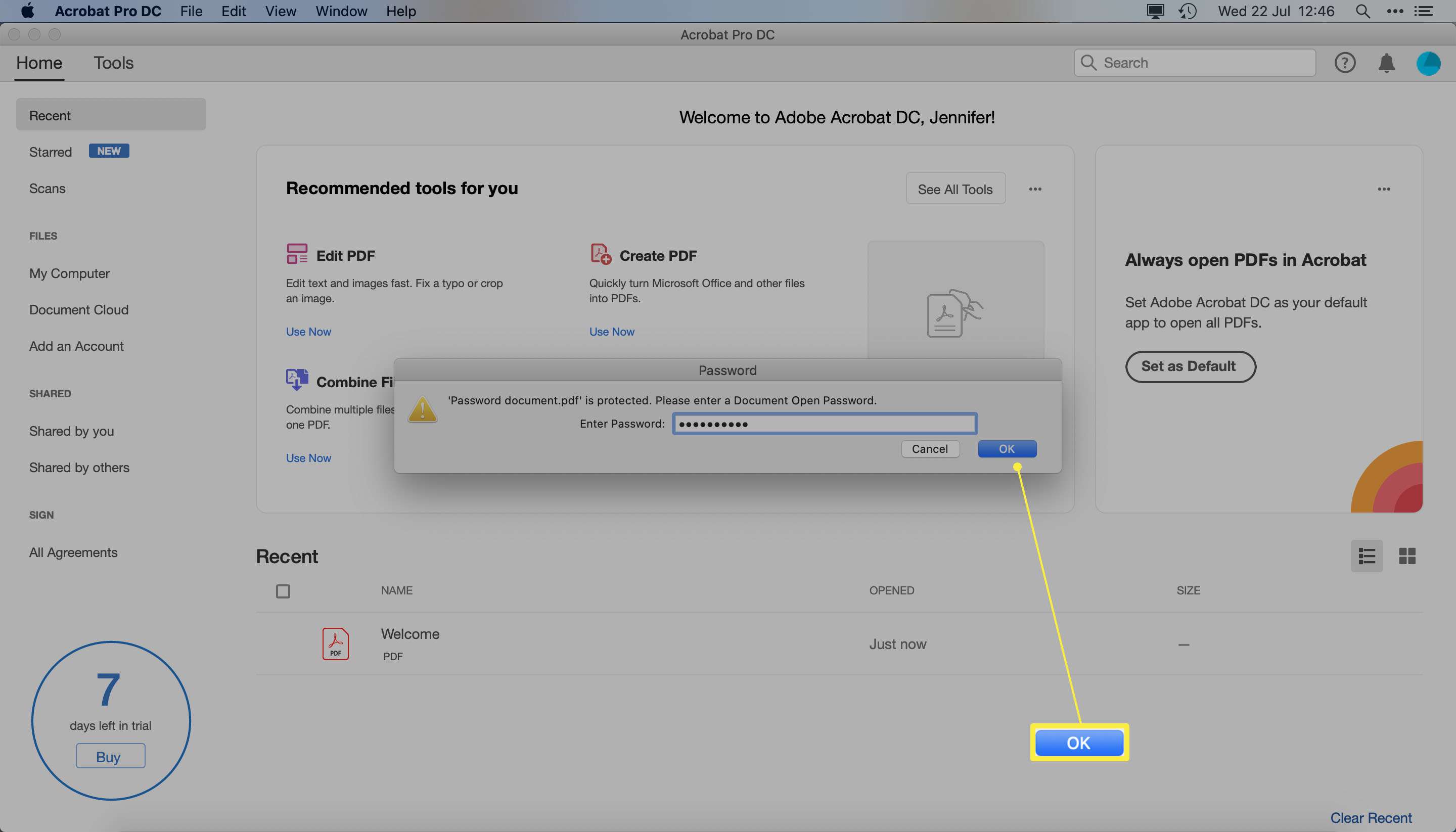 Adobe Acrobat Pro DC se zobrazeným polem pro zadání hesla pro PDF chráněný heslem