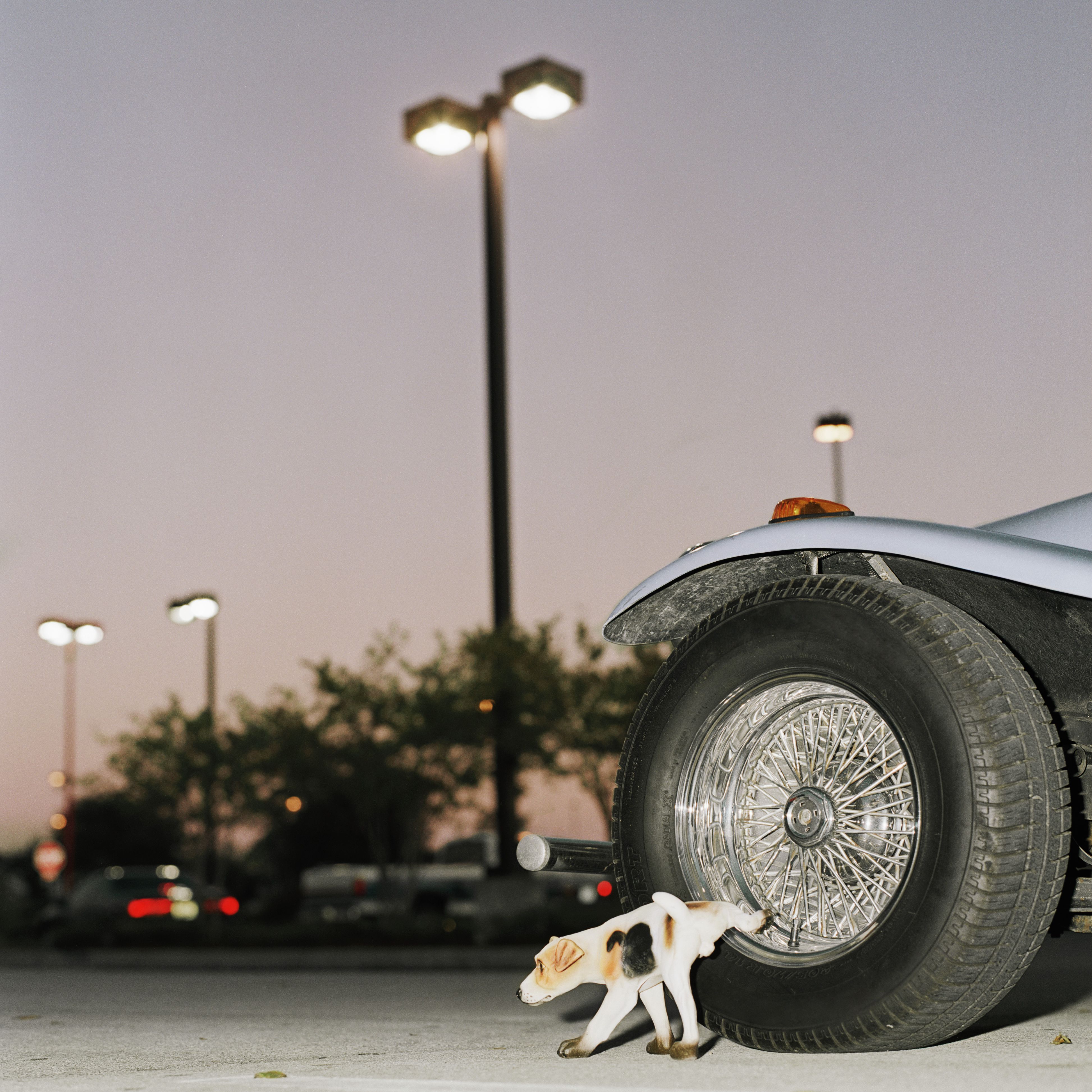 Hračkový pes zvedající nohu na pneumatice automobilu