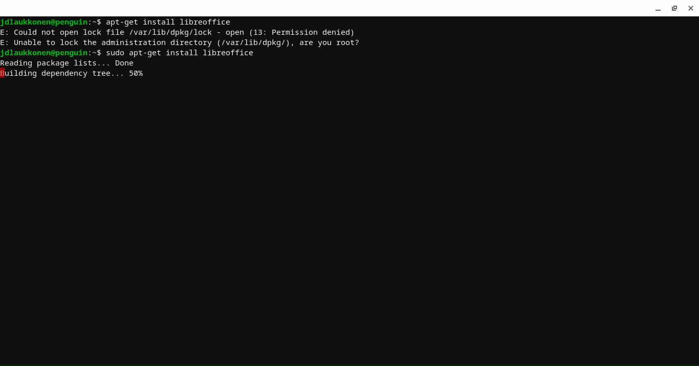 Screenshot okna terminálu Linuxu s provedeným příkazem sudo.
