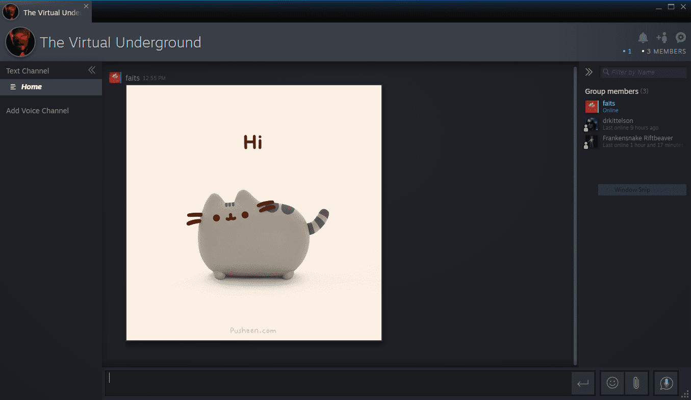 Skupinový chat na Steam Chatu.