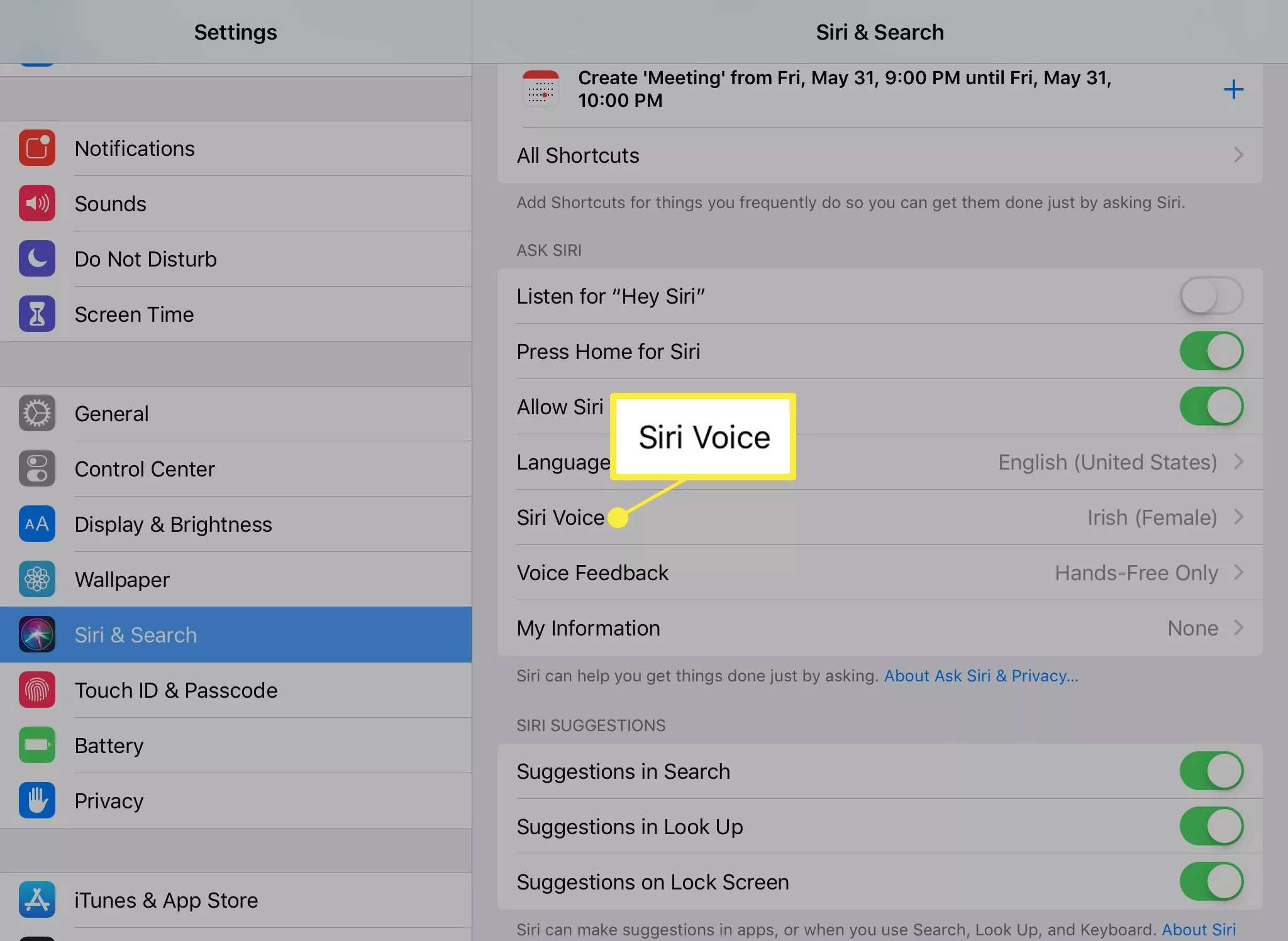 Možnost Siri Voice na obrazovce Siri & Search v systému iOS