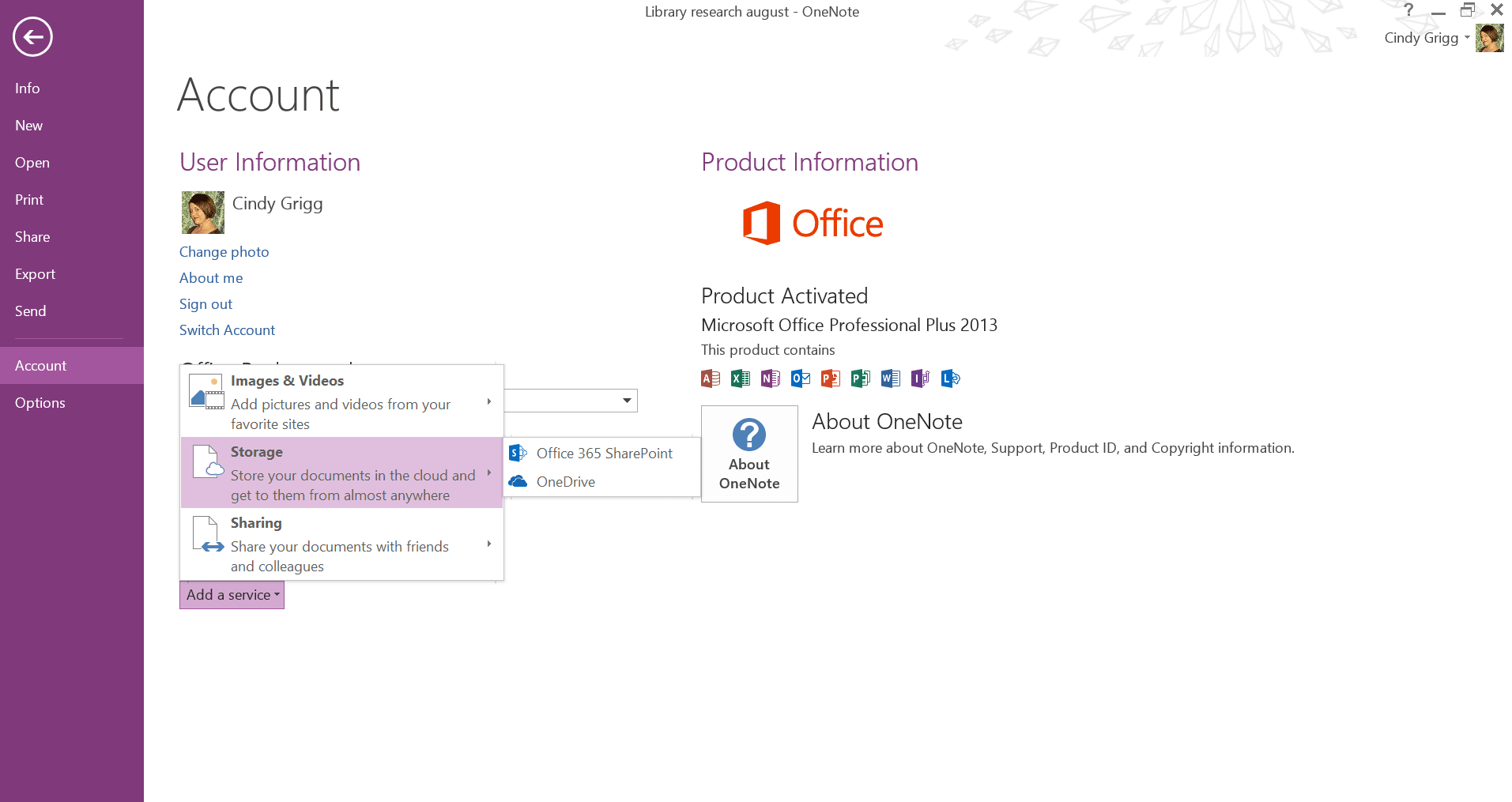 Sdílejte poznámky OneNote na SharePoint