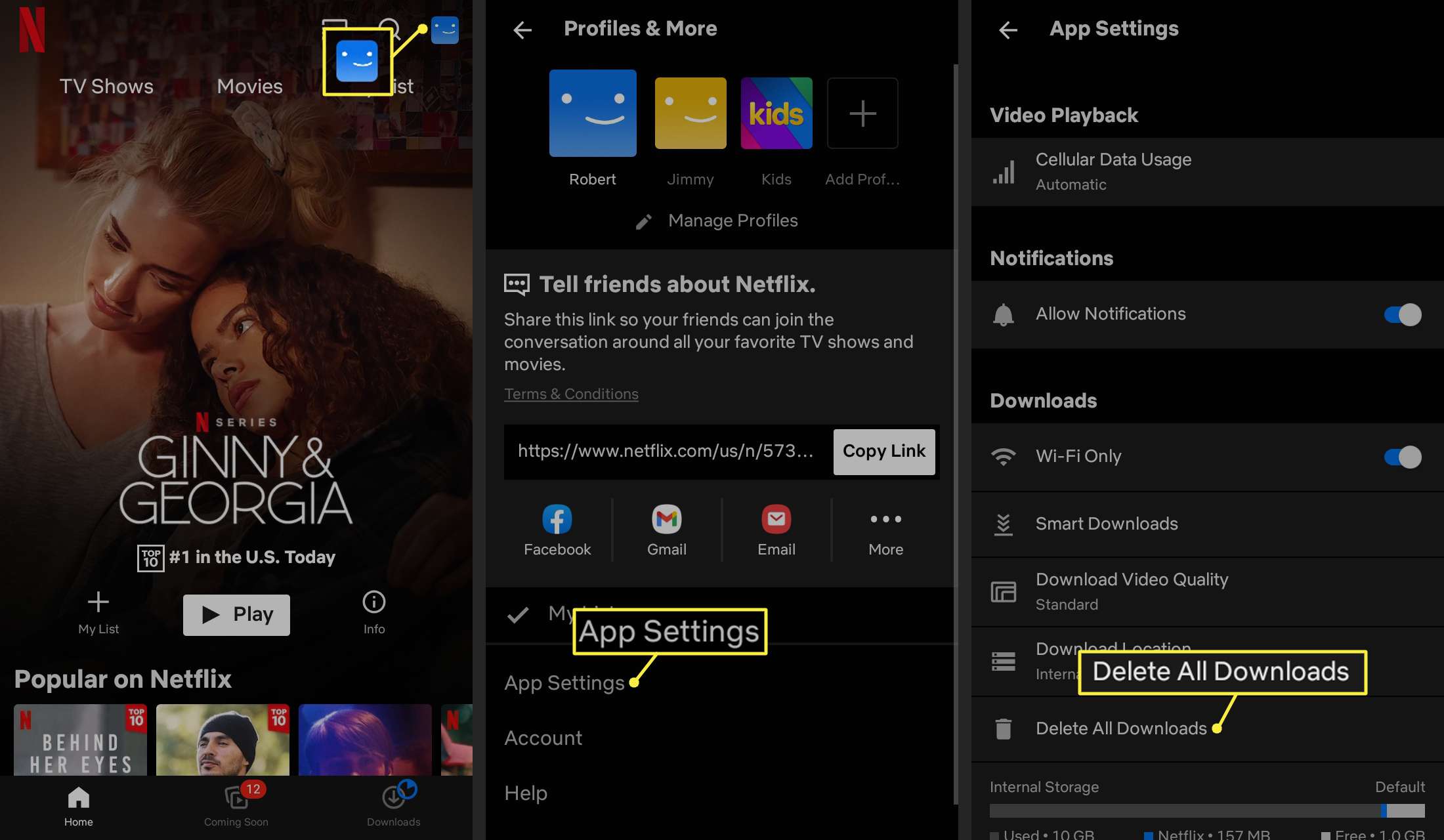 V aplikaci Netflix zvýrazněná ikona profilu, nastavení aplikace a Odstranit všechna stahování