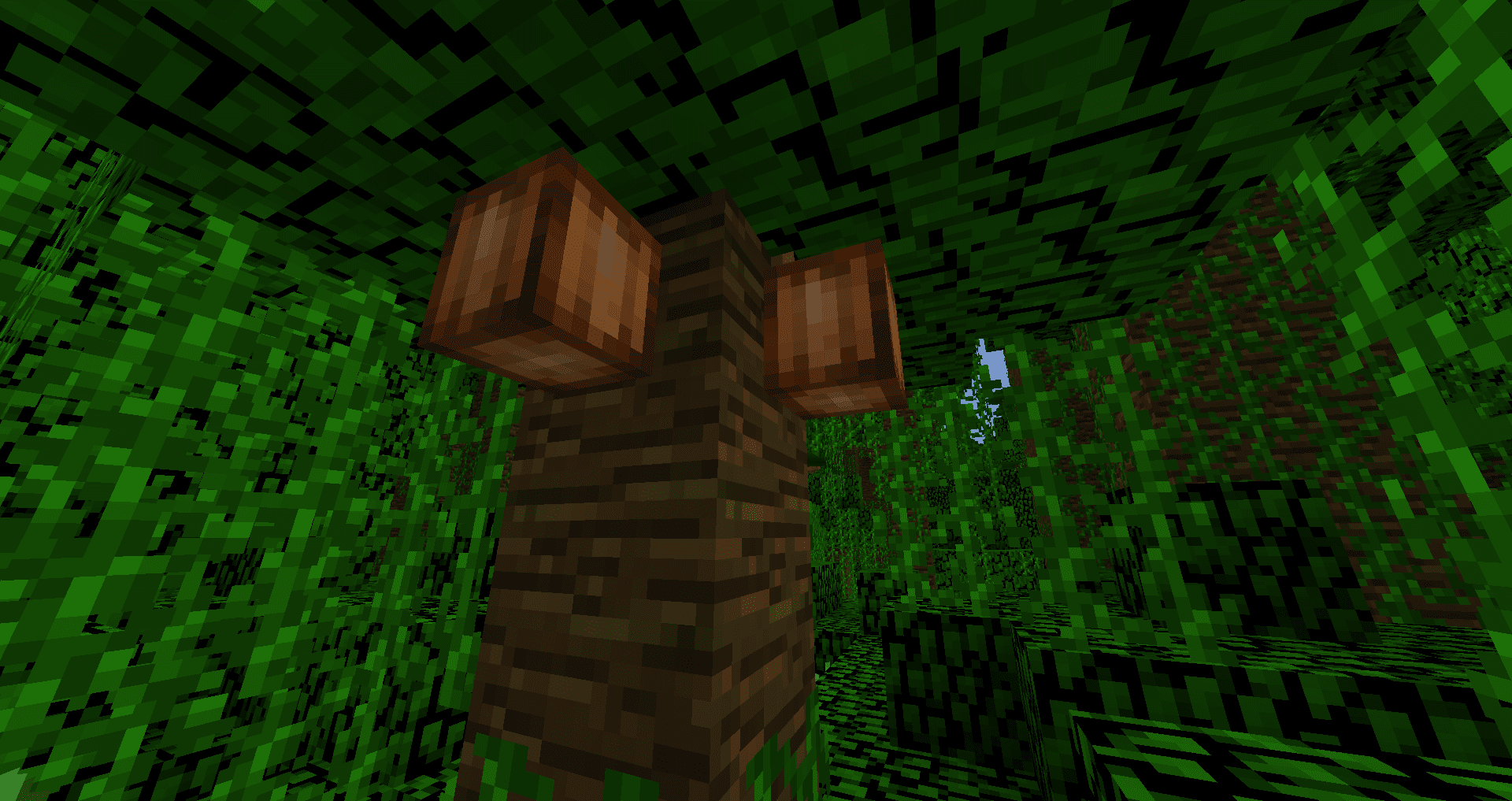 Kakaové boby na džungli v Minecraftu