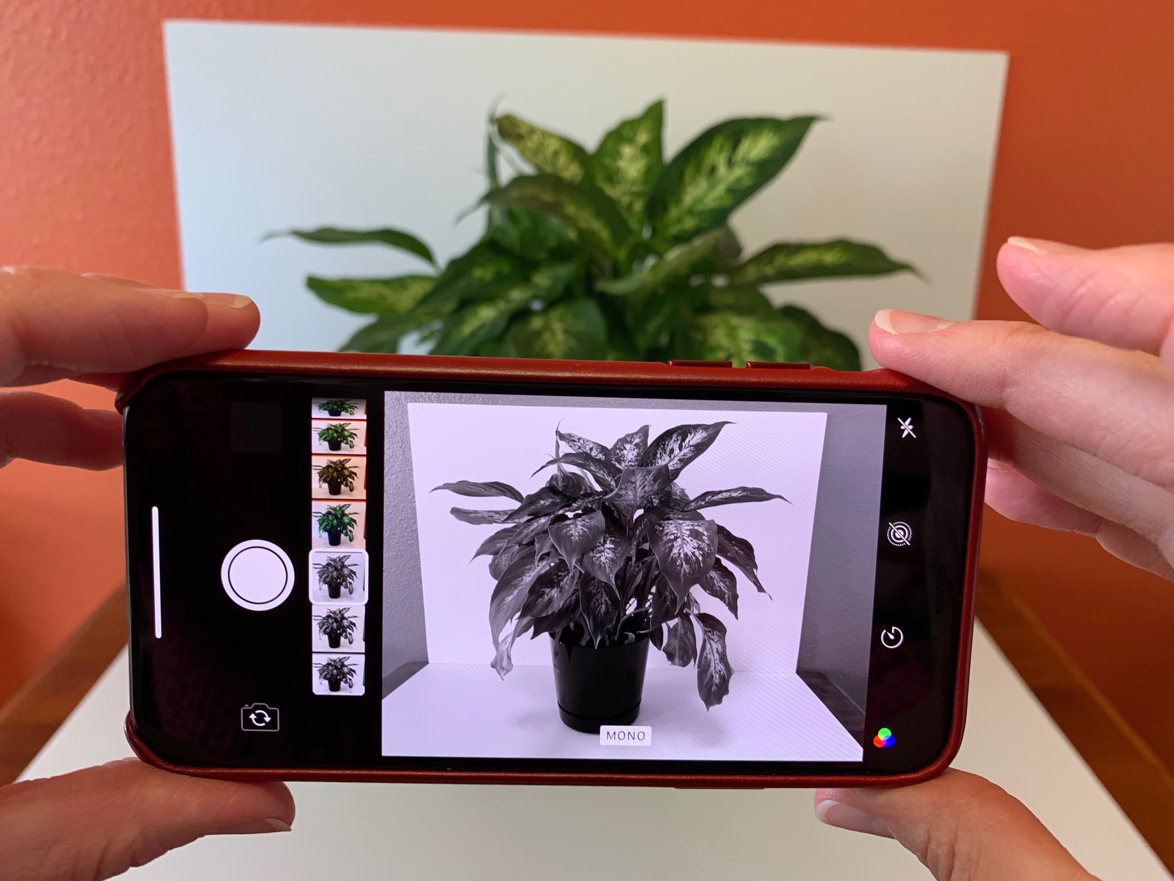 Fotografie iPhonu s aktivním filtrem MONO, zobrazuje předmět rostliny v různých odstínech od bílé po černou