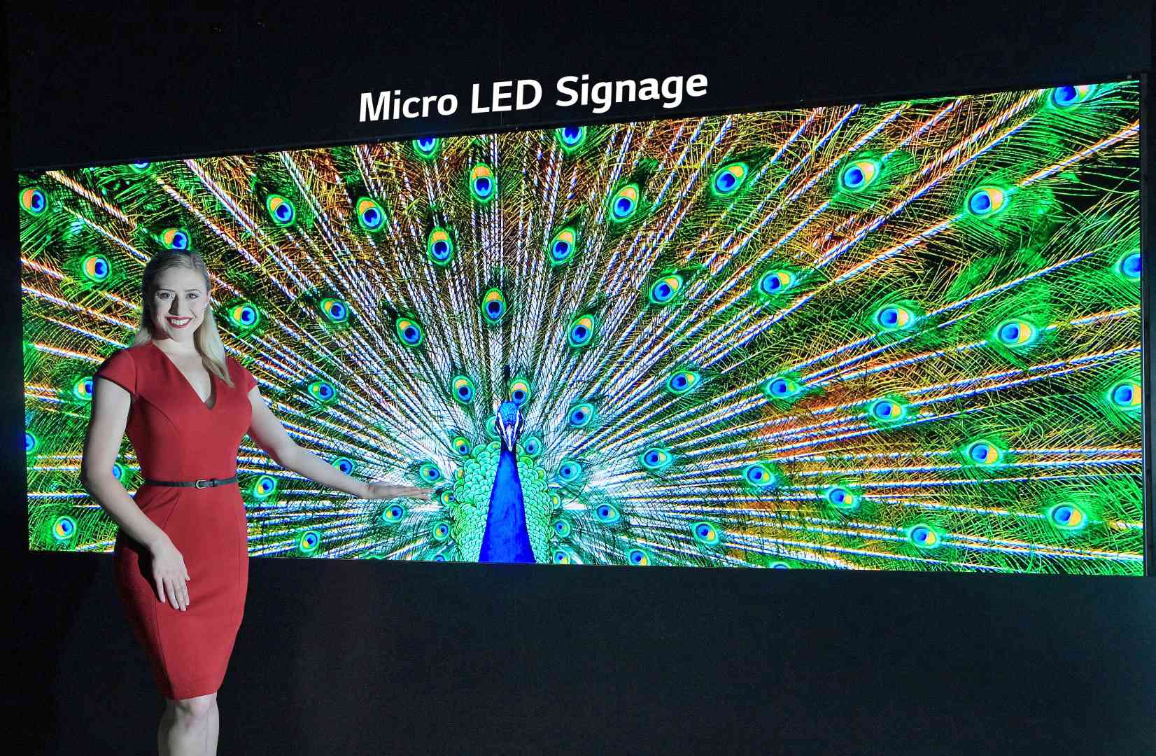Ukázka LG MicroLED Video Display