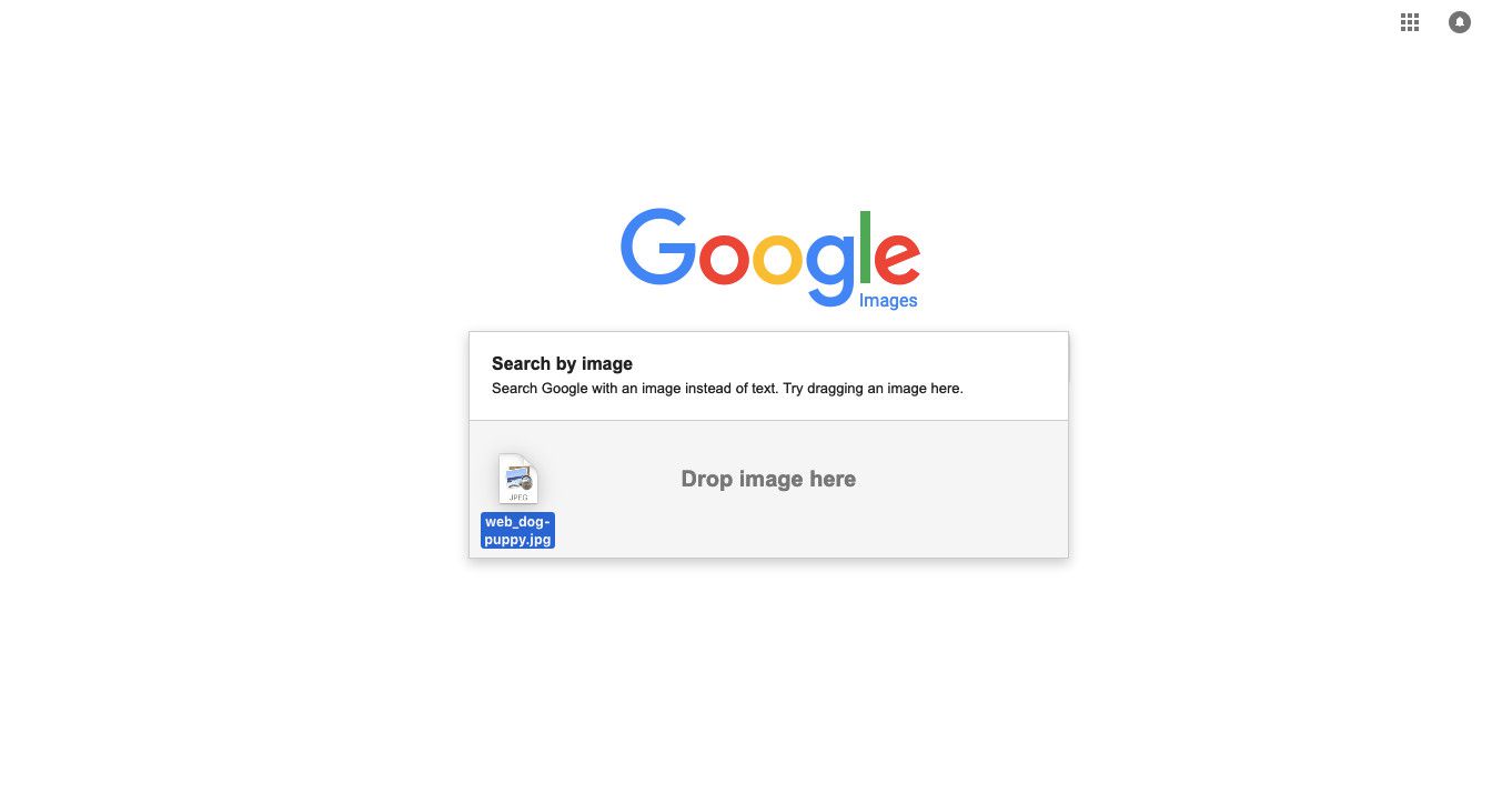 Soubor přetažený do vyhledávacího pole Google Image.