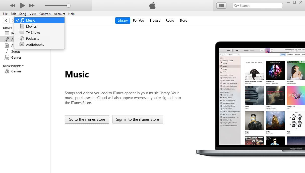Snímek obrazovky s hudbou iTunes