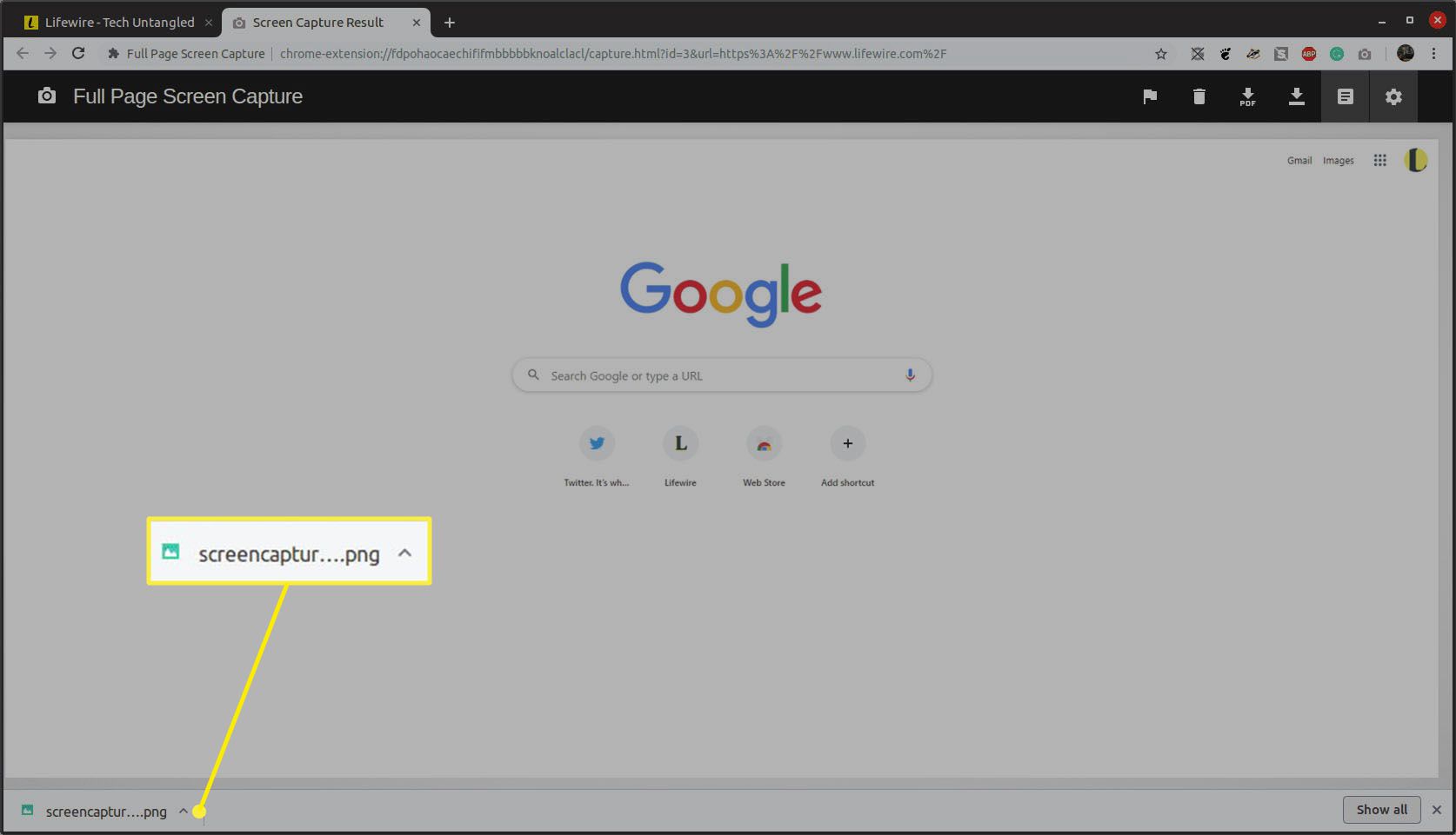 Stránka Výsledky snímání obrazovky pro rozšíření prohlížeče Celá stránka Screen Capture pro webový prohlížeč Google Chrome s dialogovým oknem pro stažení.