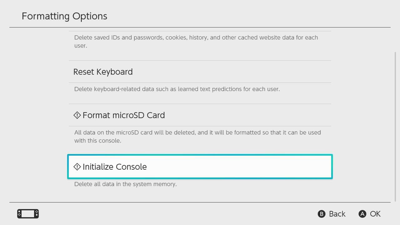 Intailize Console zvýrazněna v nabídce Nintendo Switch Formatting Options