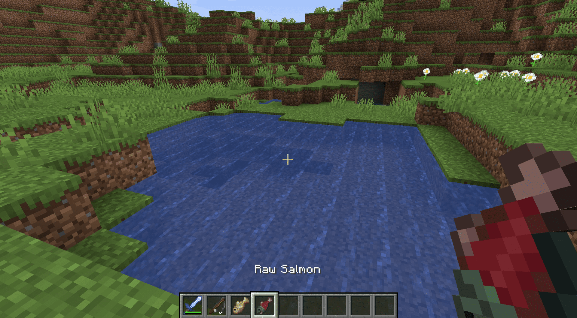Screenshot z ryby v Minecraftu.