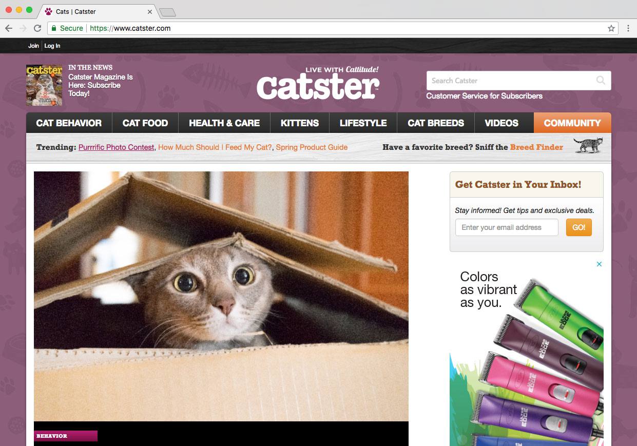 Pet Social Networks - Catster