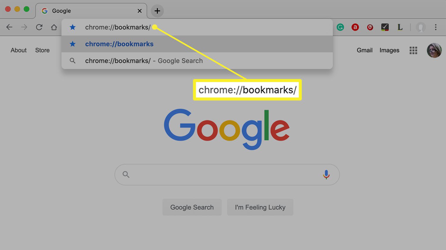 Prohlížeč Chrome v počítači