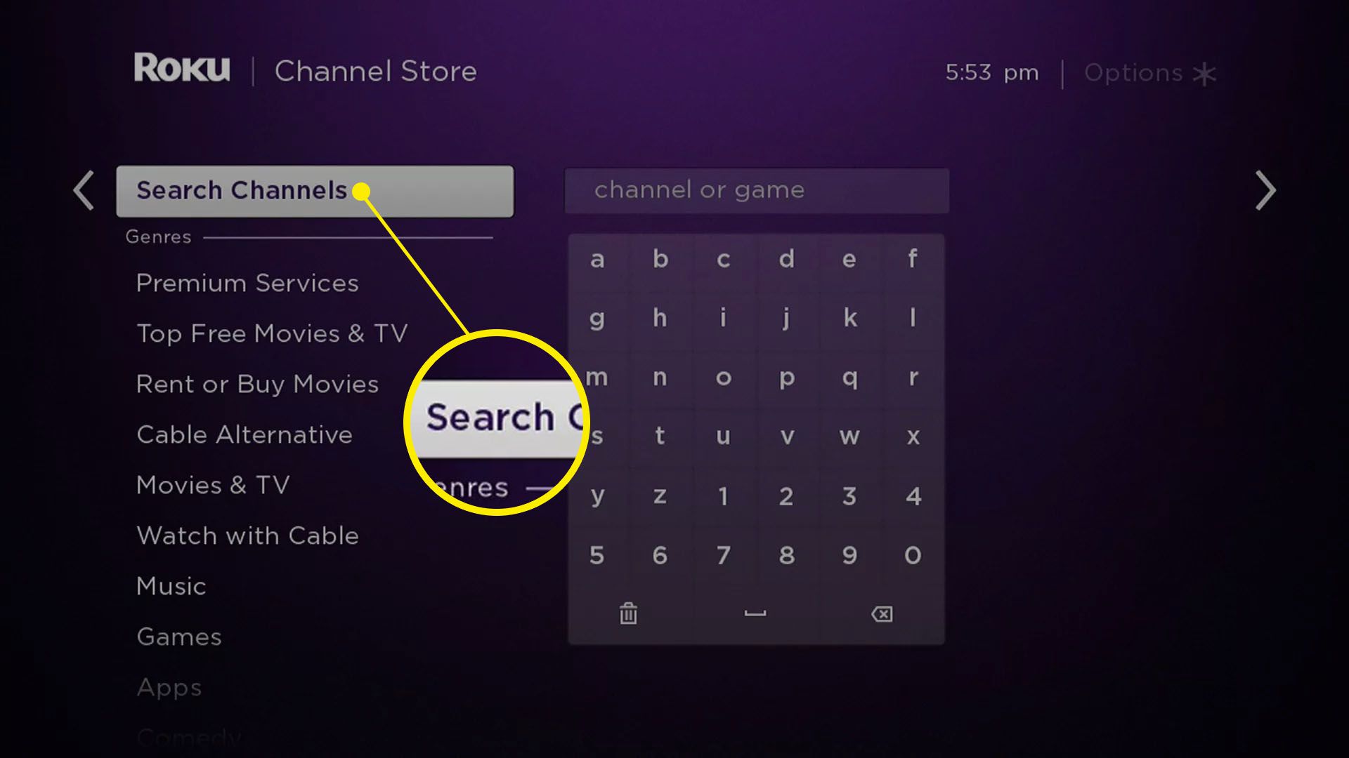Snímek obrazovky vyhledávací funkce Roku Channel Store.