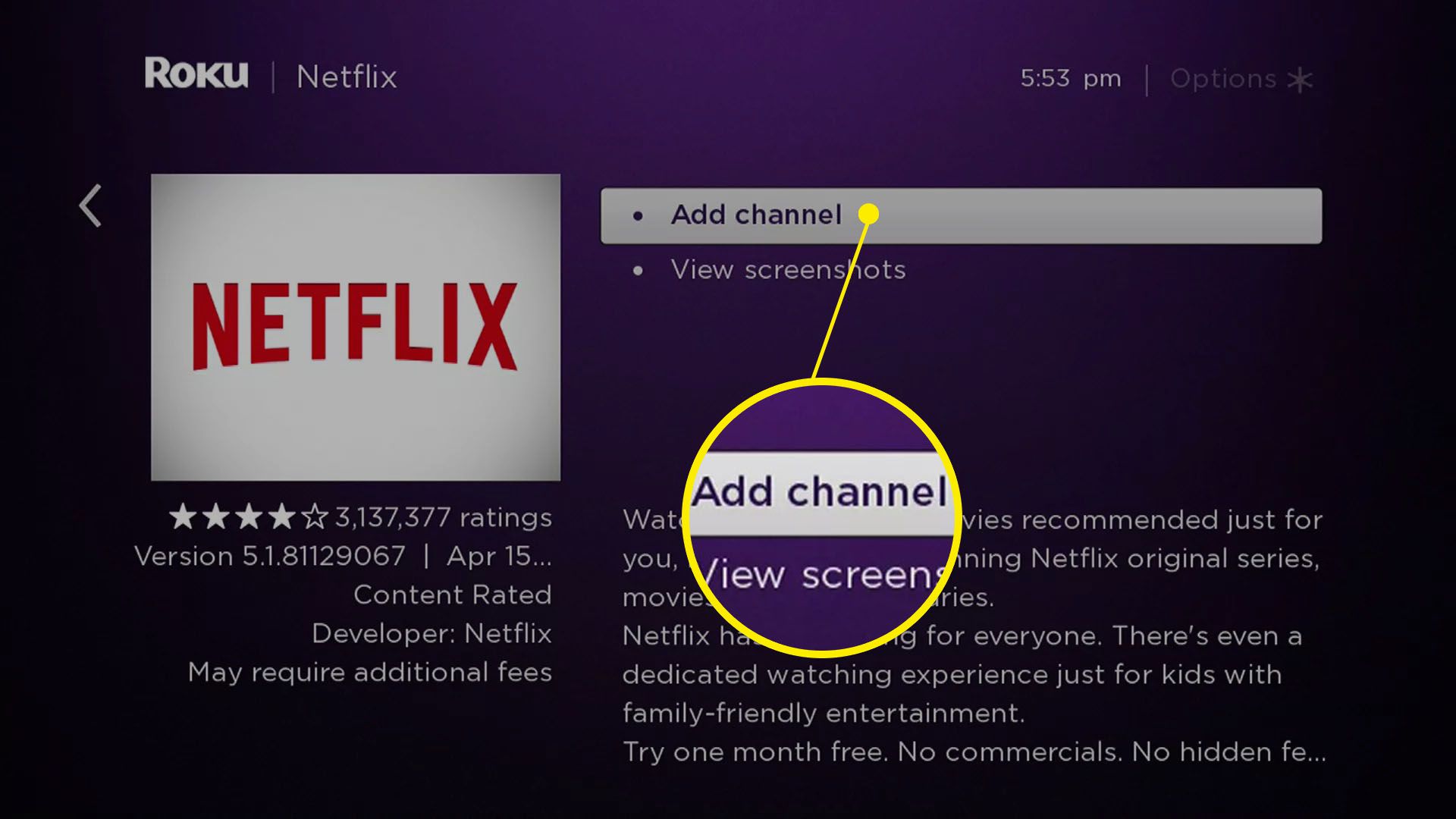 Snímek obrazovky Netflixu na Roku.