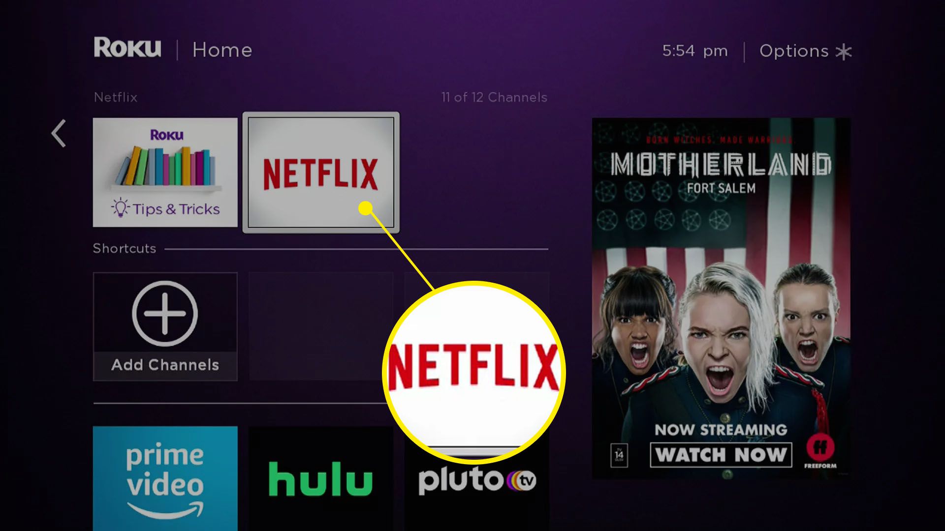 Snímek obrazovky Netflixu v seznamu kanálů Roku.