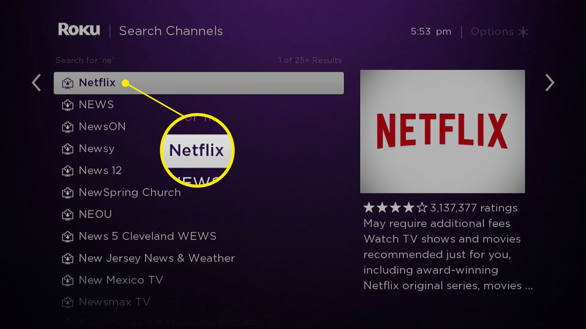 Snímek obrazovky Netflixu v obchodě Channel Roku.