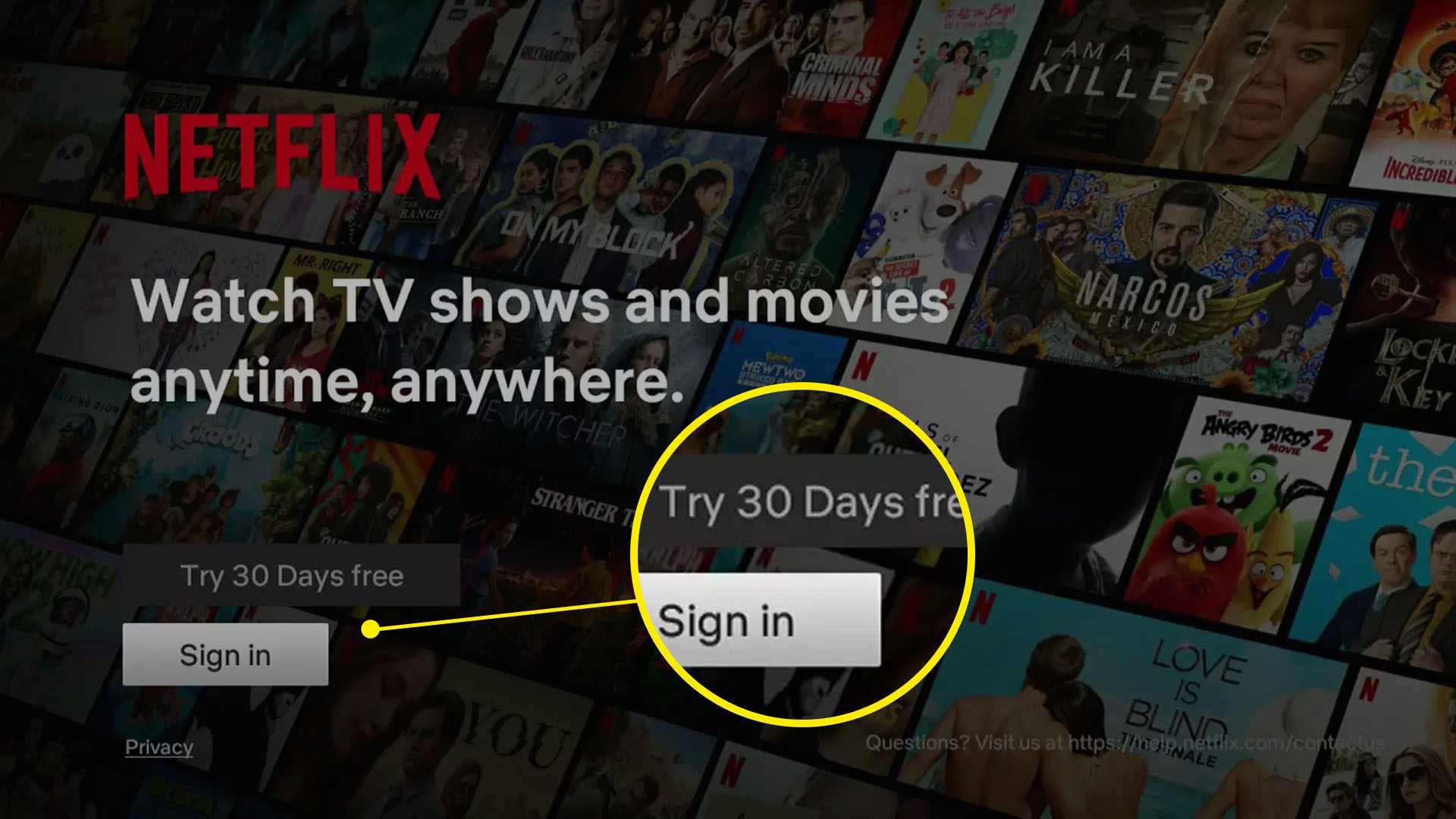 Snímek obrazovky Netflixu na Roku.