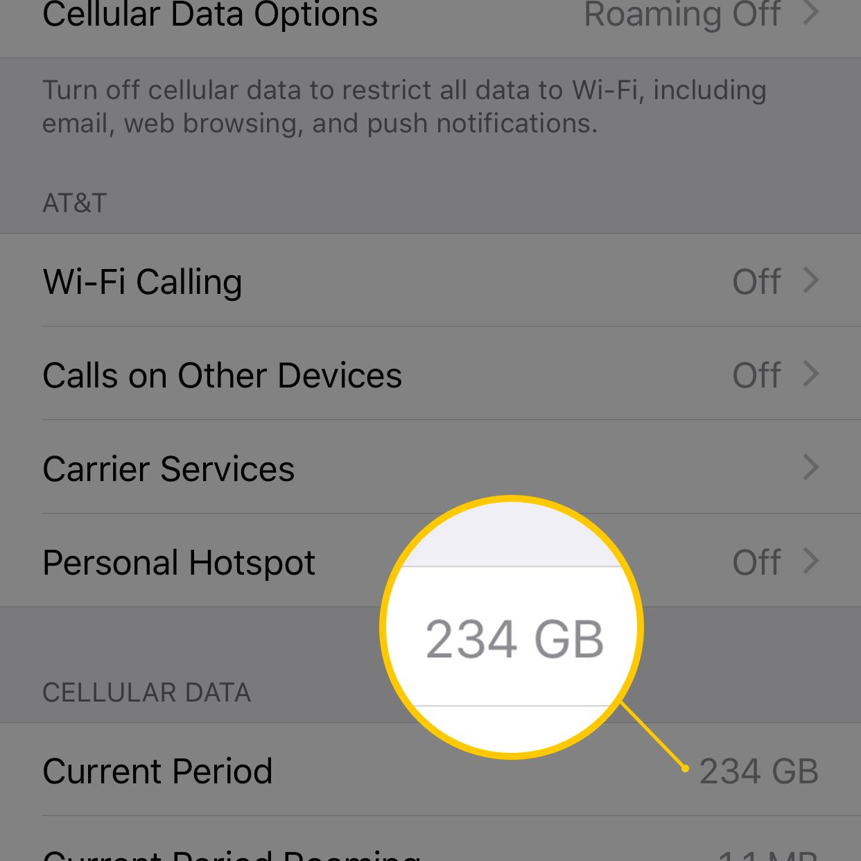 Screenshot obrazovky iOS Cellular Data