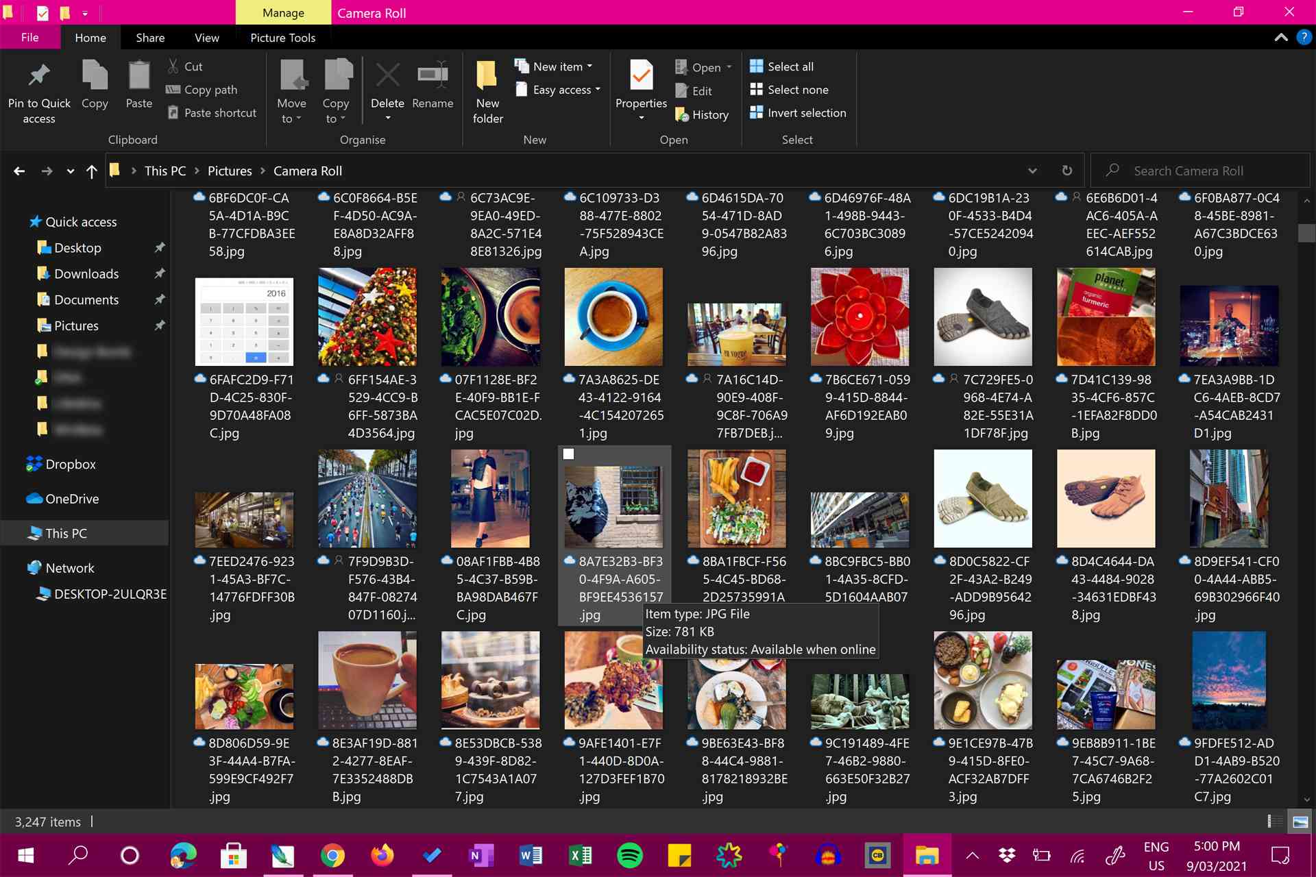 Fotografie v Průzkumníku souborů systému Windows 10.