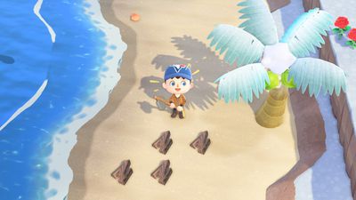 Sběr tvrdého dřeva z palmy ve hře Animal Crossing: New Horizons