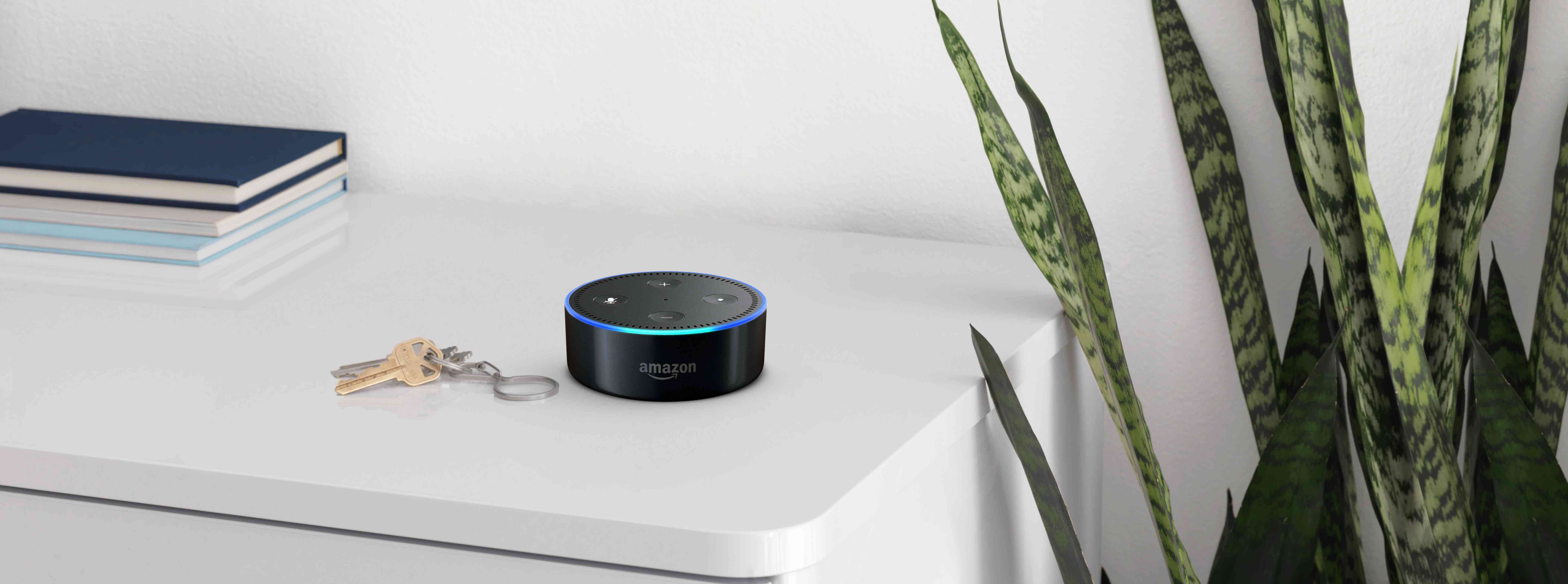 Amazon Echo Dot