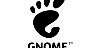 Gnome 5b4e6d2bc9e77c00371833bc