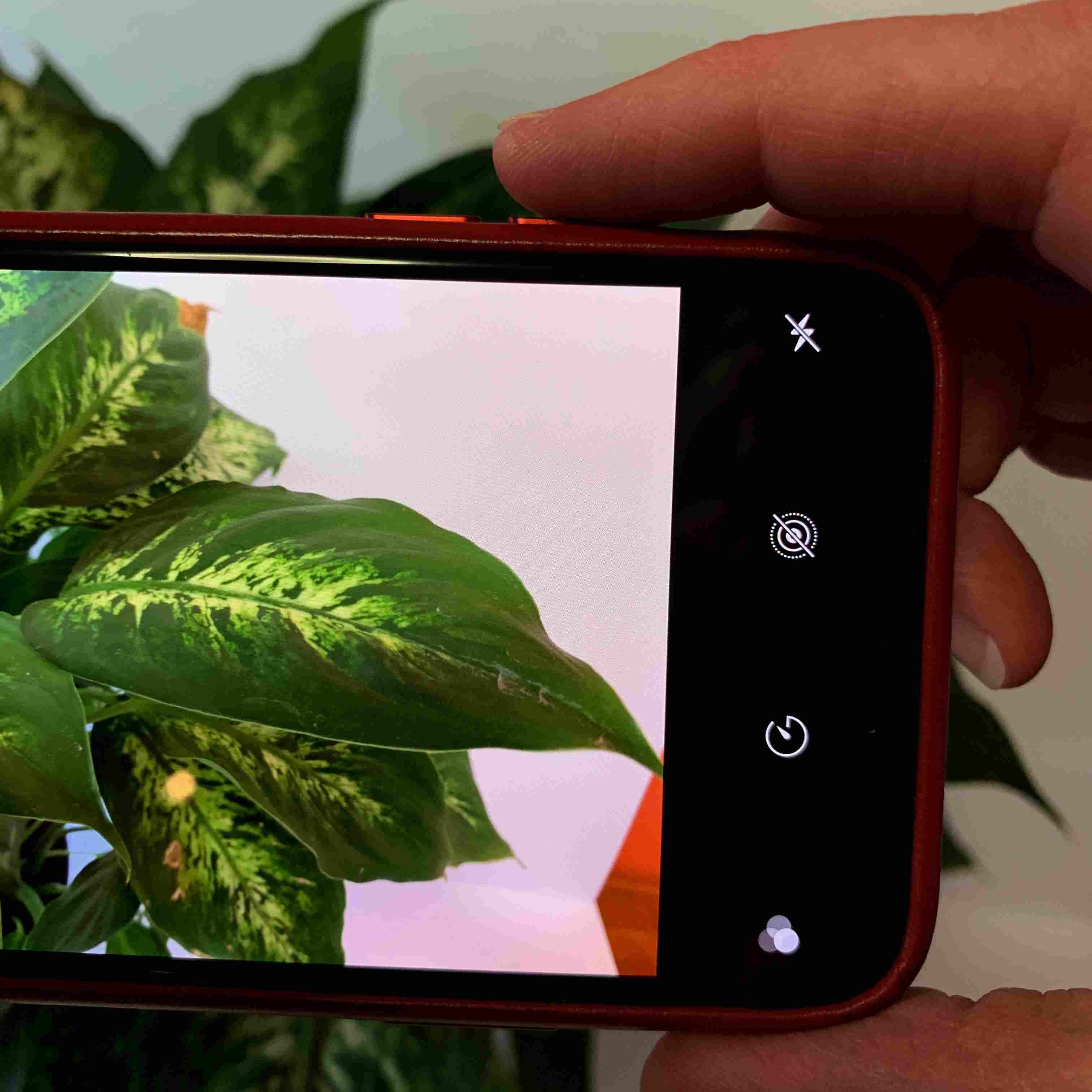 Fotografie ukazuje stisknutí tlačítka pro zvýšení hlasitosti na iPhone k pořízení fotografie