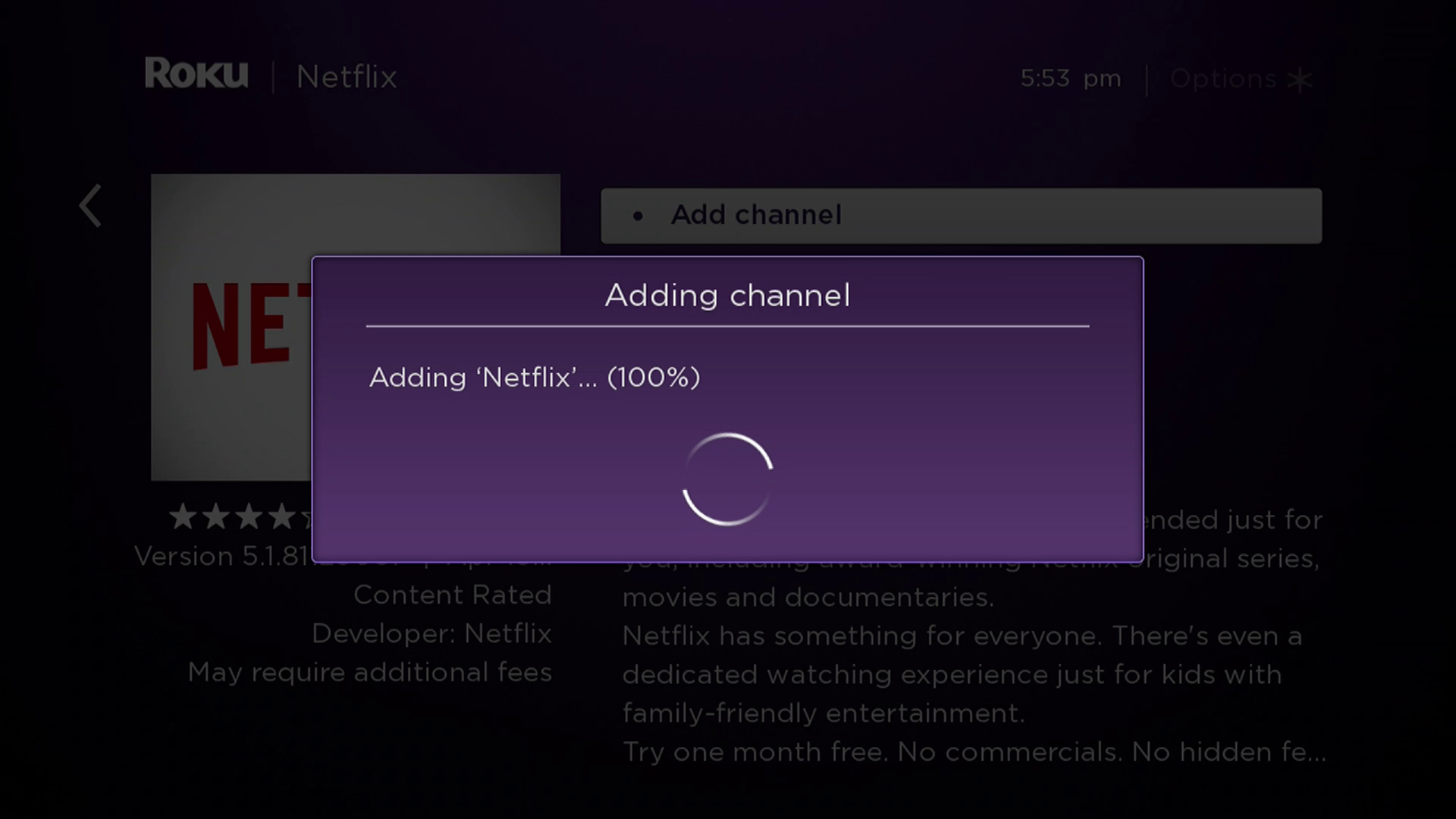 Screenshot instalace Netflixu na Roku.
