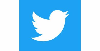 Twitter Logo WhiteOnBlue 34452c2398c64eb1b4b9cdb571c39aa2