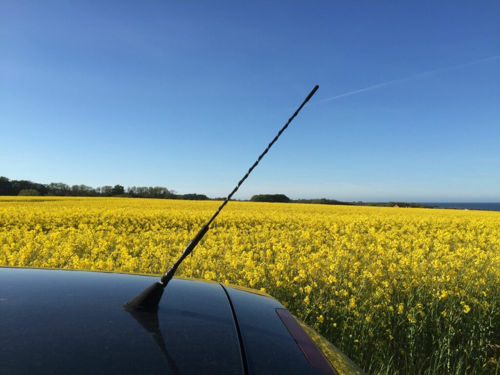 car parked by flowering field against clear blue sky 586916213 5b49c1c846e0fb00374f23a4