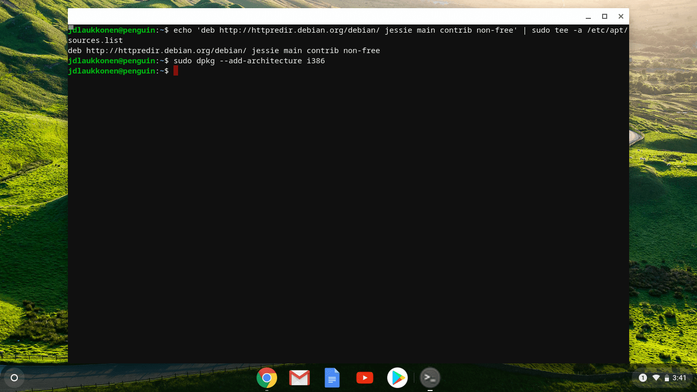 Snímek obrazovky okna terminálu Linux v systému Chrome OS.