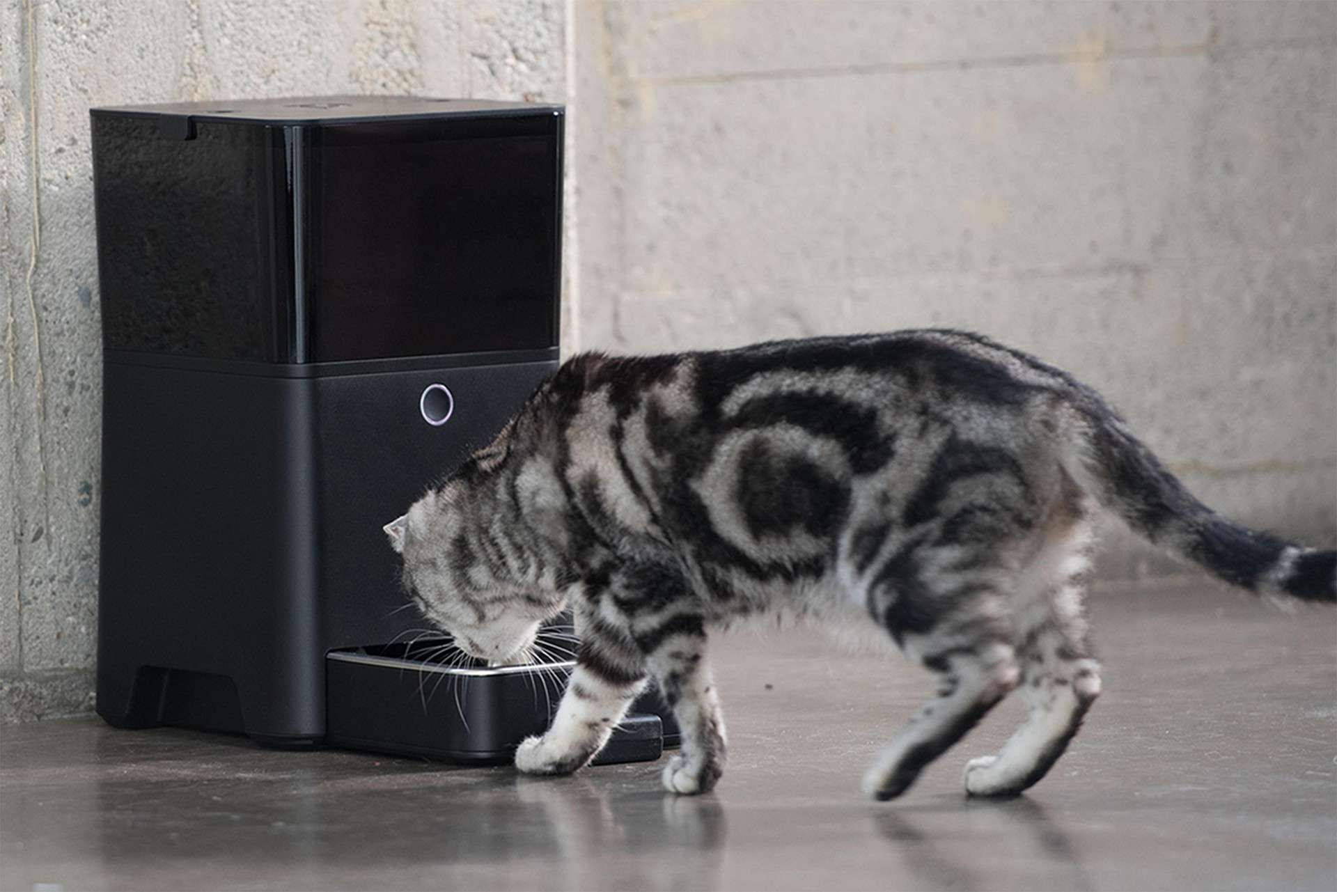 Petnet SmartFeeder