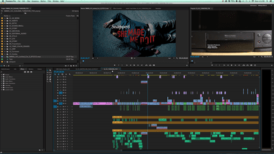 Screenshot aplikace Adobe Premiere