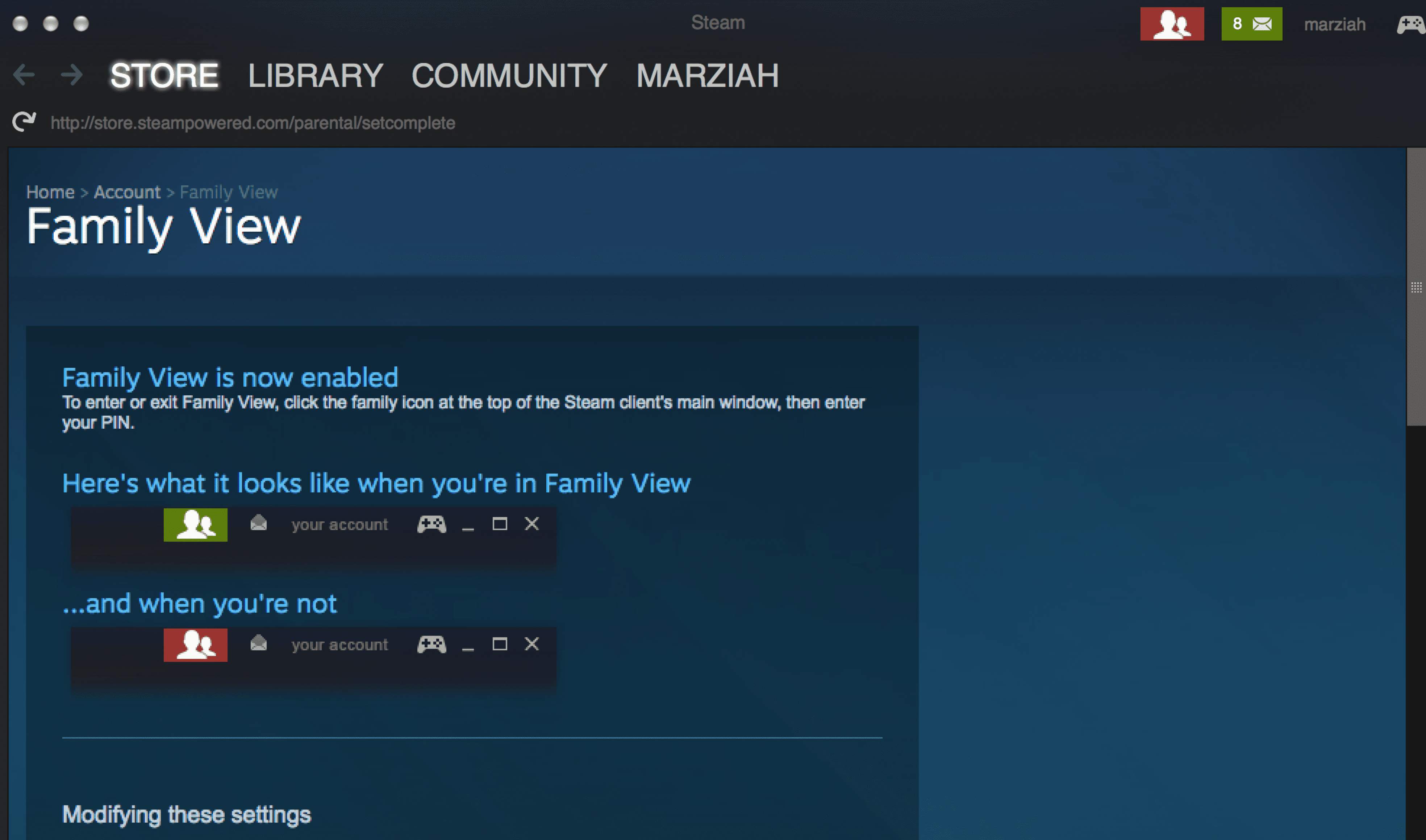 Family View ve službě Steam