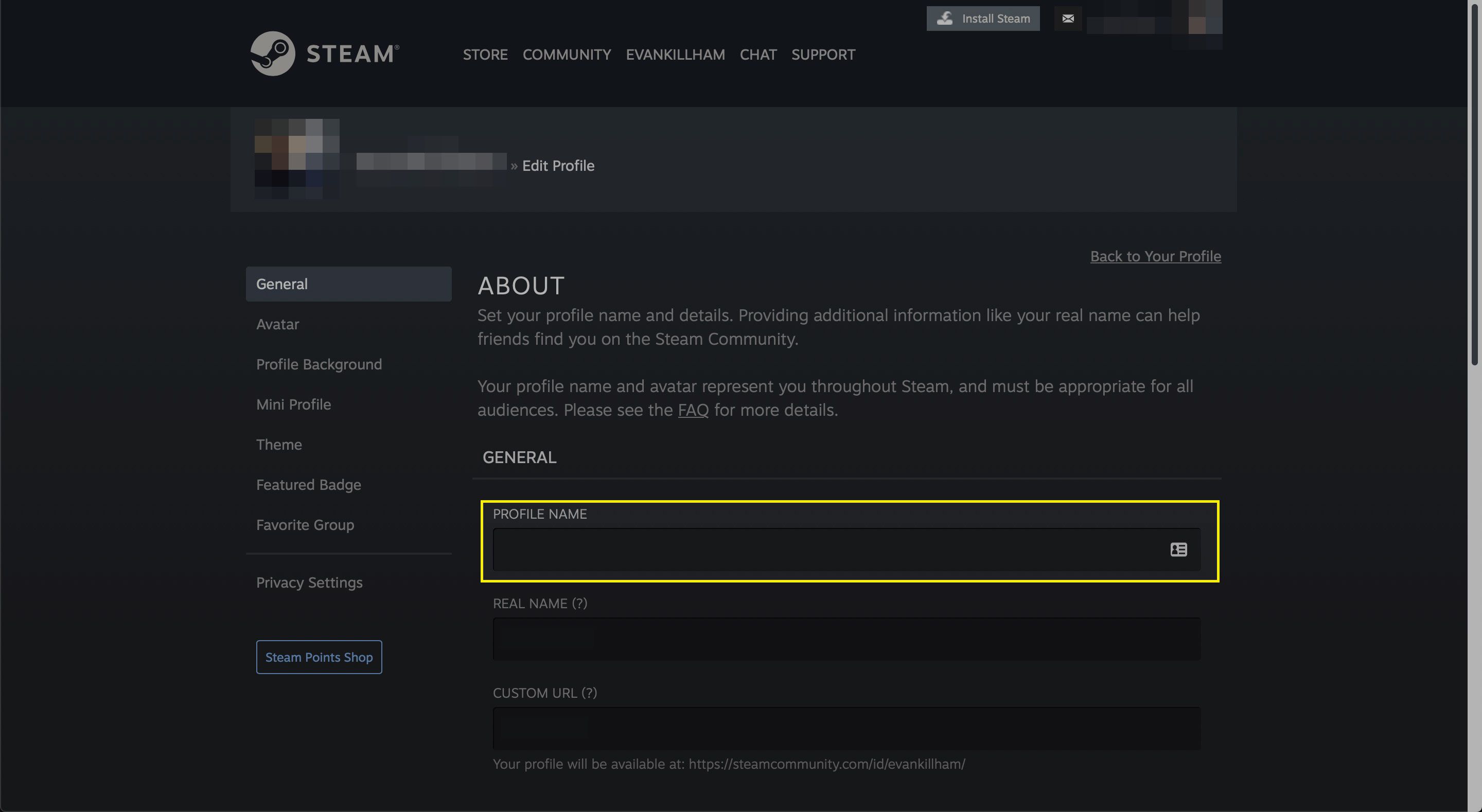 Pole Název profilu v profilu Steam