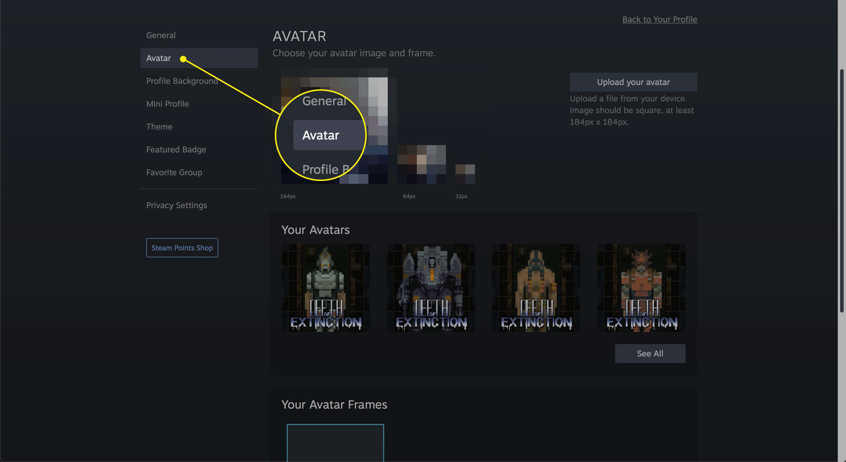 Položka Avatar v profilu Steam